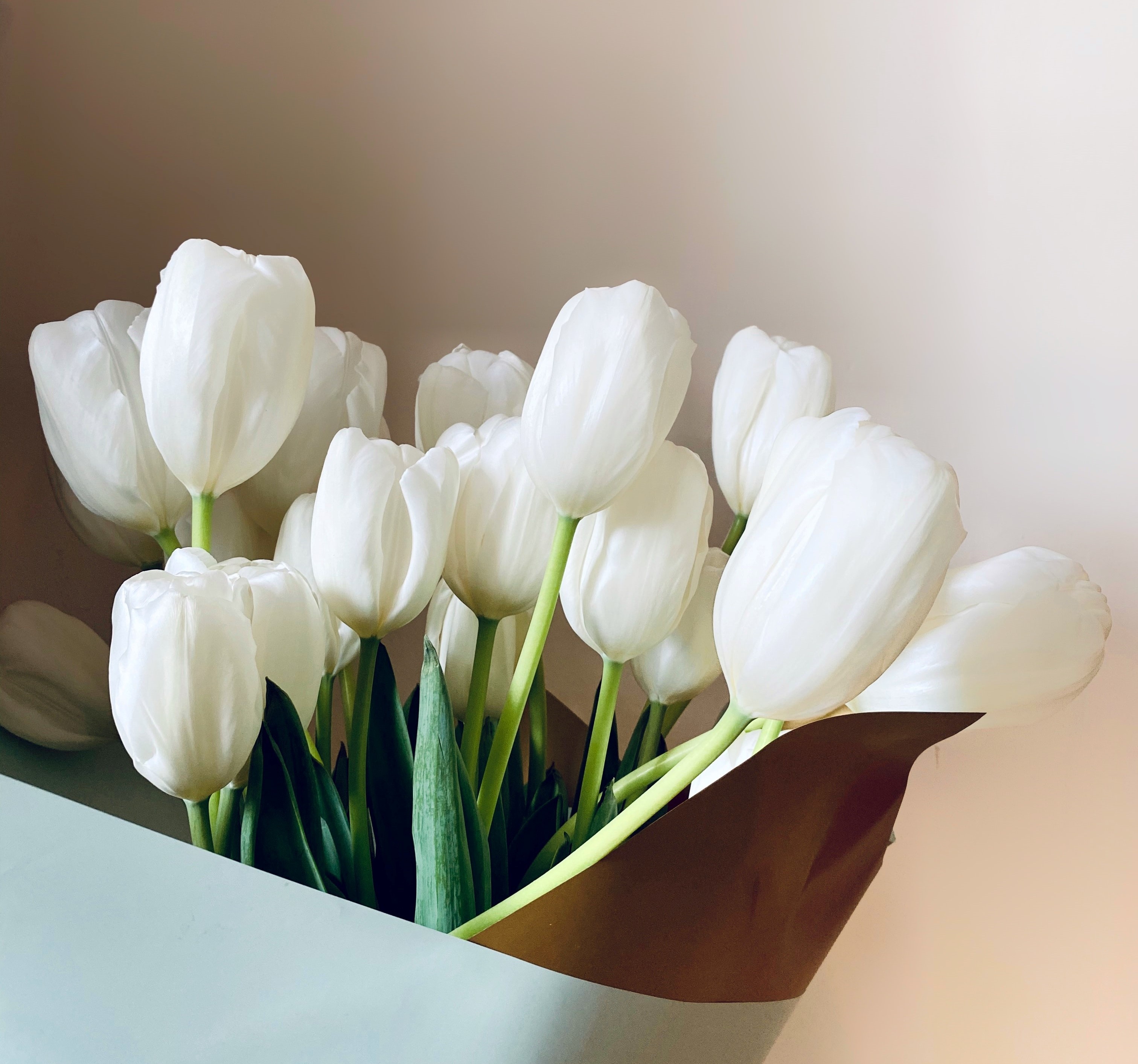 dau tu chung khoan anh 1