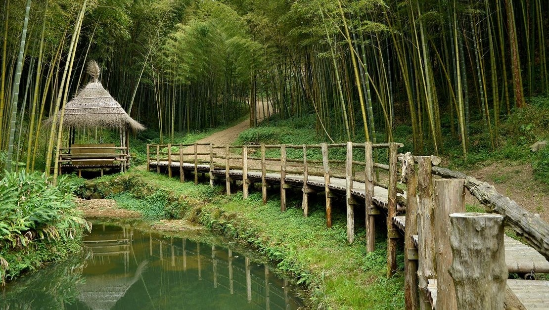 Du lich Dai Loan anh 8