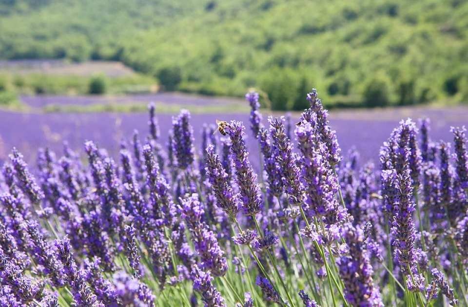 Du lich Dai Loan anh 1