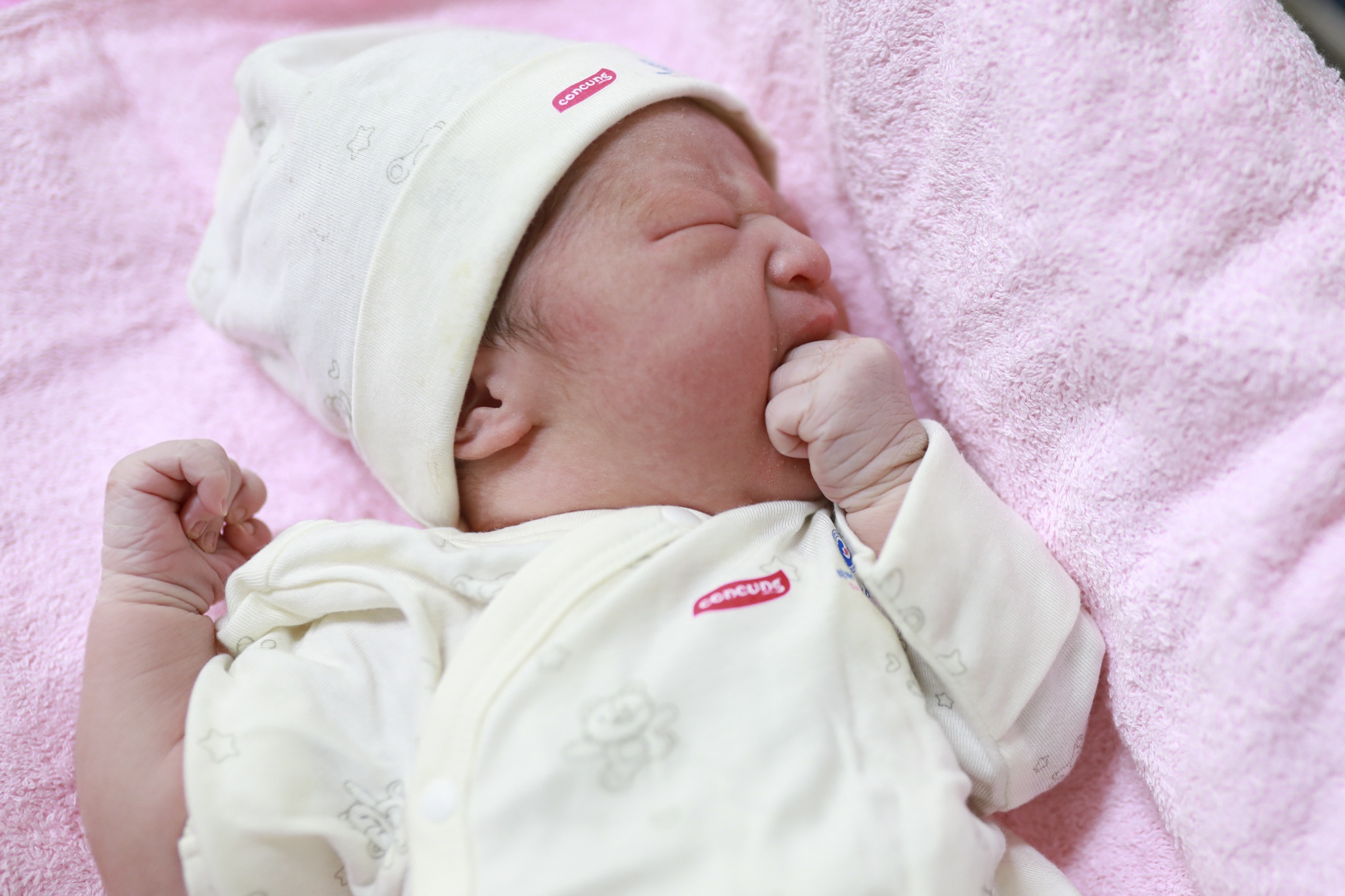 Con Cưng ảnh 31 Con Cung anh 31