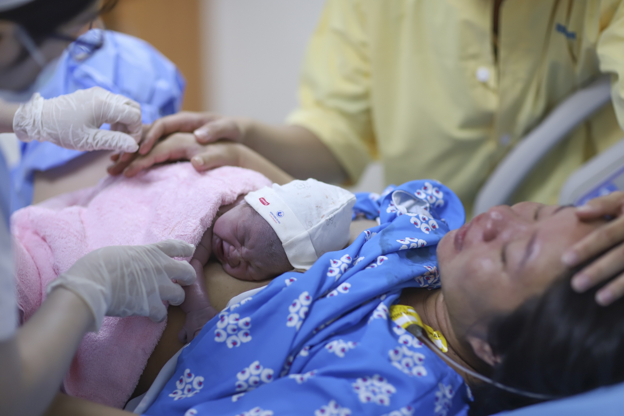 Con Cưng ảnh 16 Con Cung anh 16