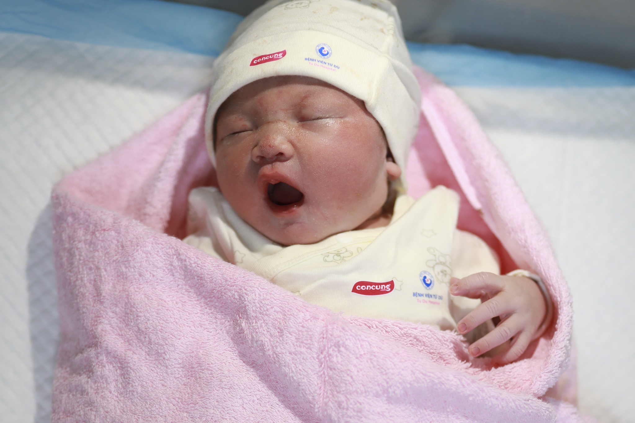 Con Cưng ảnh 14 Con Cung anh 14