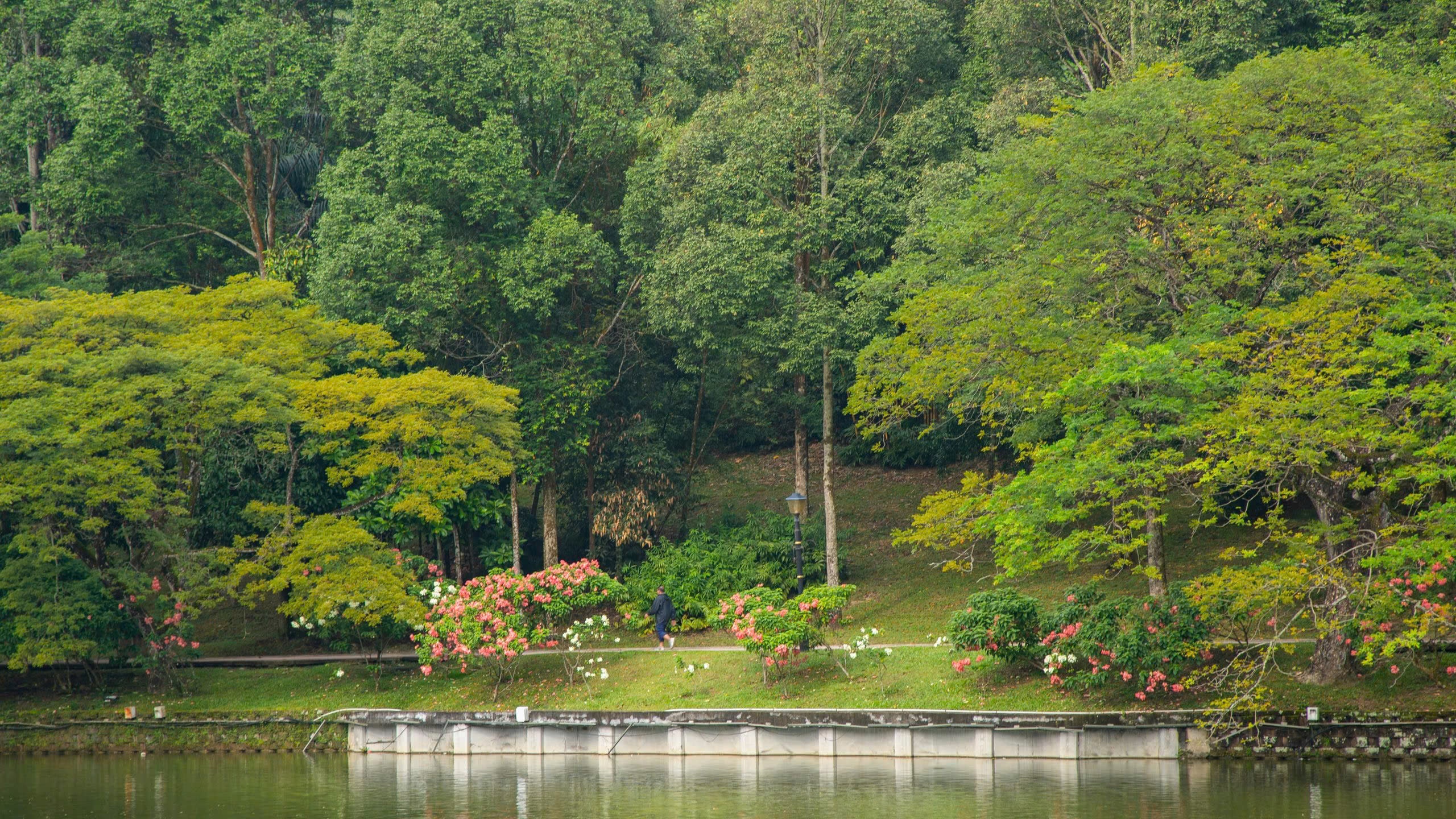 du lịch Malaysia, ảnh 5 du lich Malaysia, anh 5