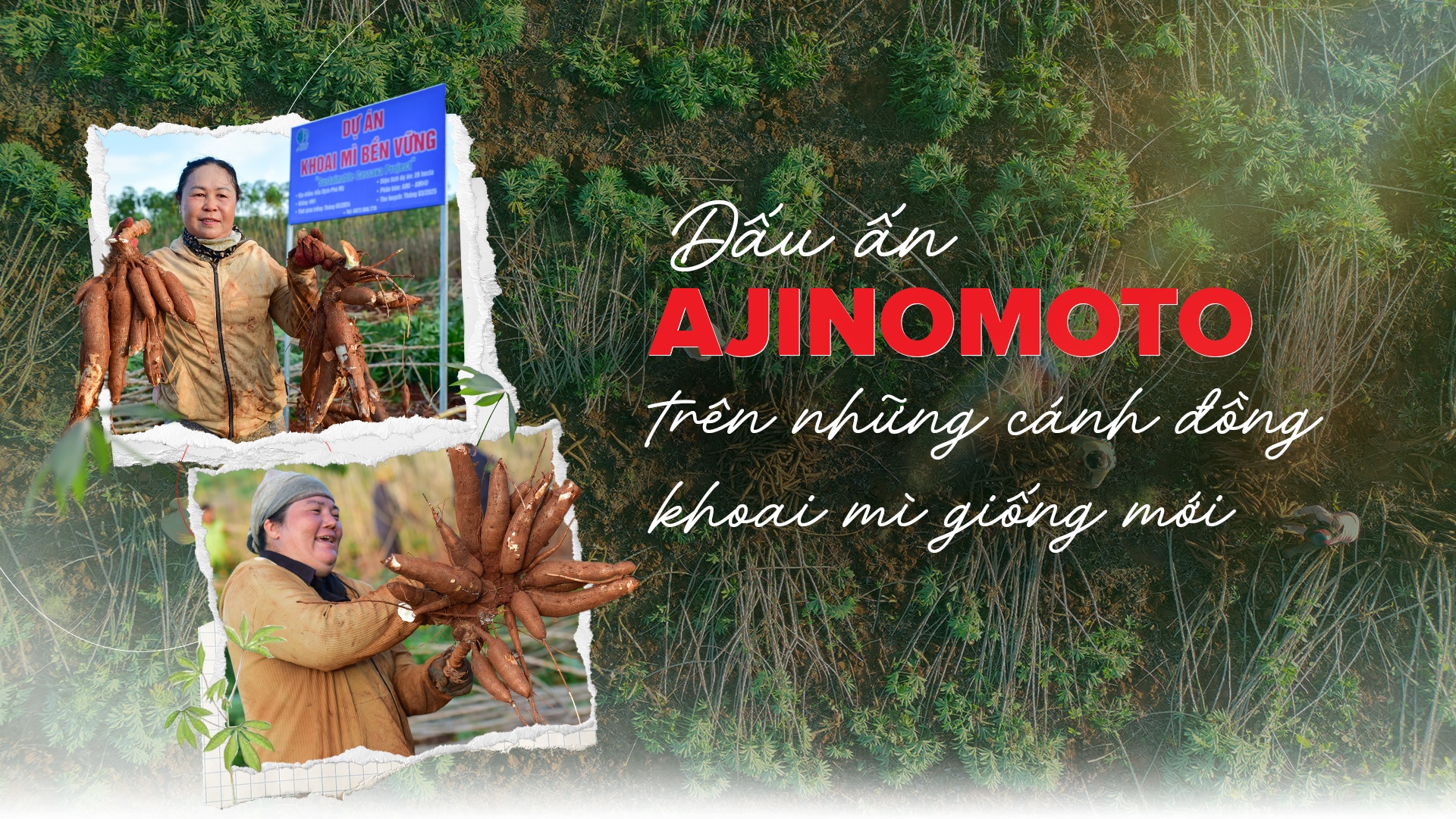 Ajinomoto anh 1