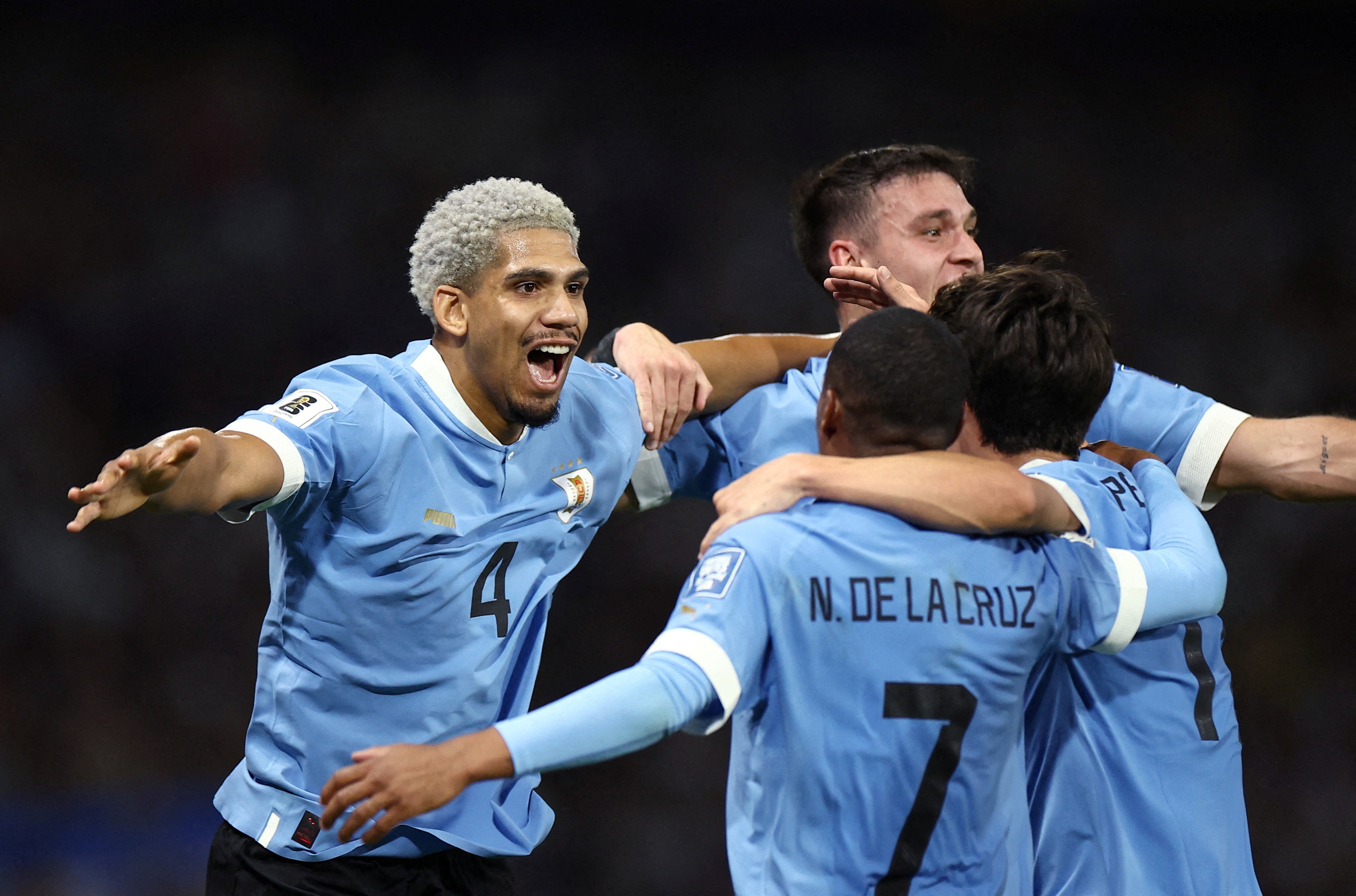 world cup,  luis diaz,  erliang haaland,  alexander isak anh 7