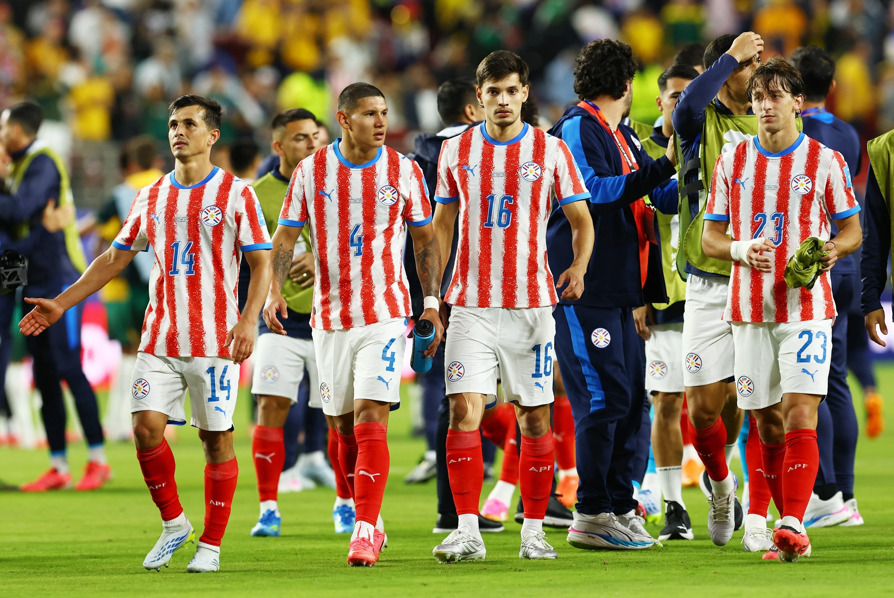 world cup,  thuy dien,  ecuador anh 6
