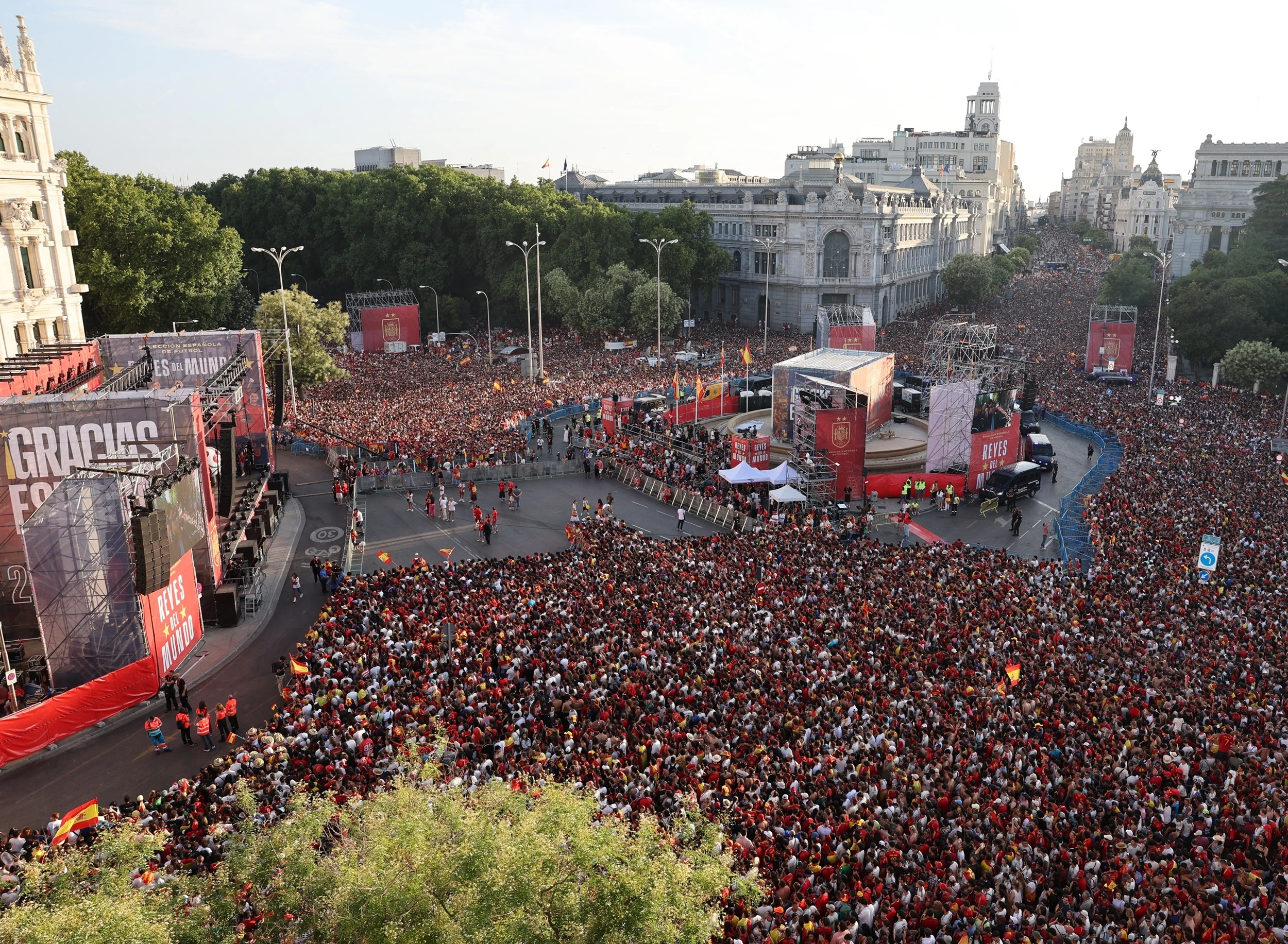 world cup,  t&acirc;y ban nha,  luis de la fuente ảnh 1