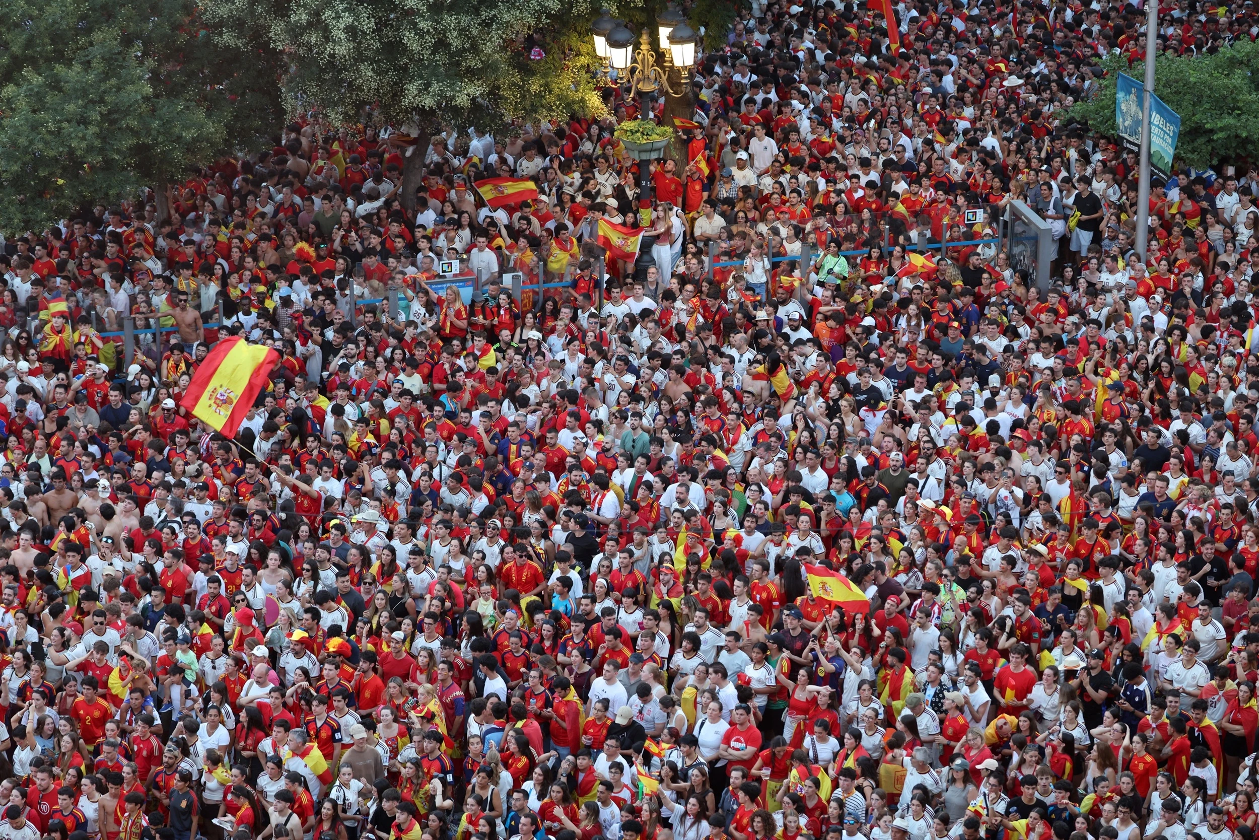 world cup,  t&acirc;y ban nha,  luis de la fuente ảnh 3
