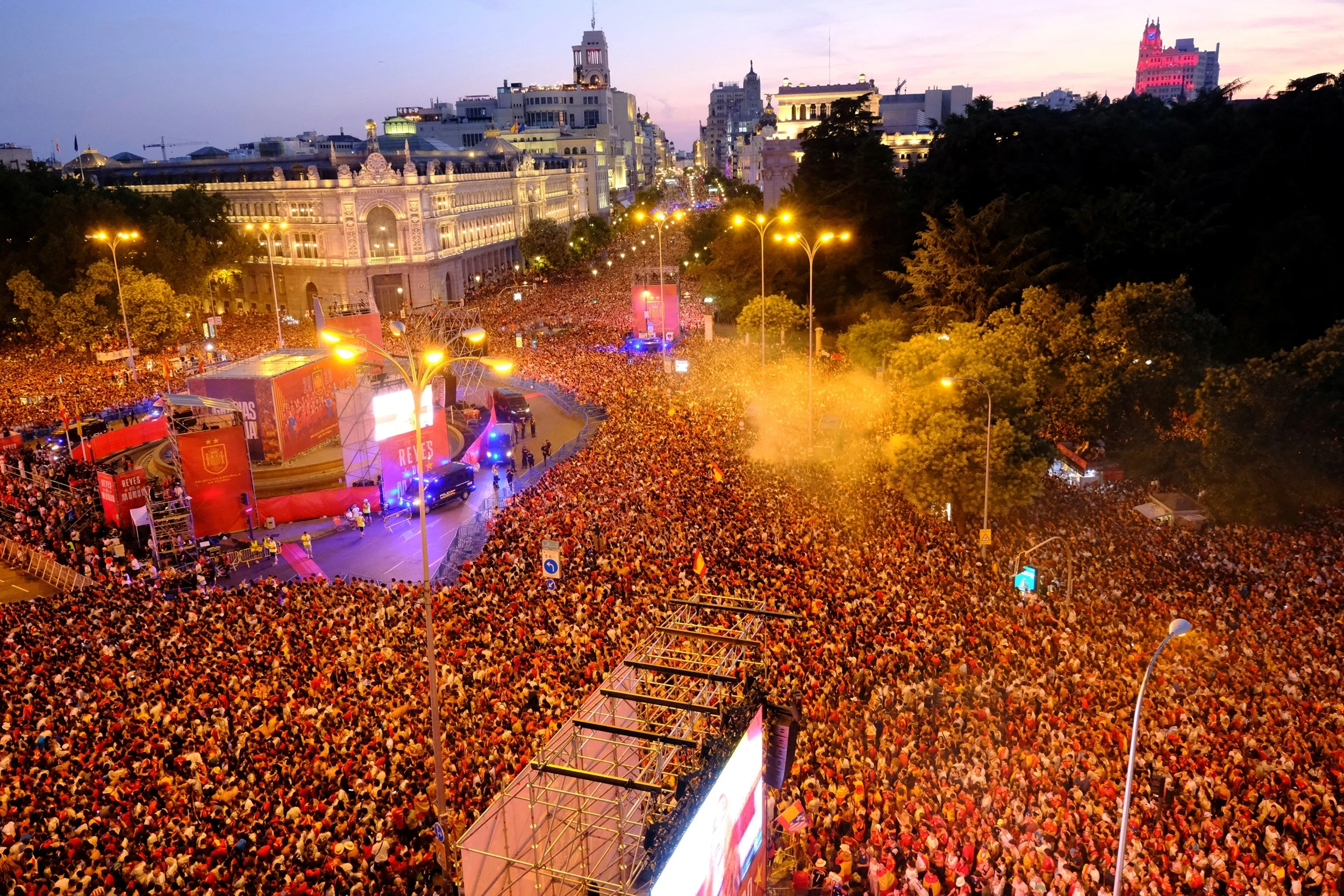 world cup,  t&acirc;y ban nha,  luis de la fuente ảnh 5