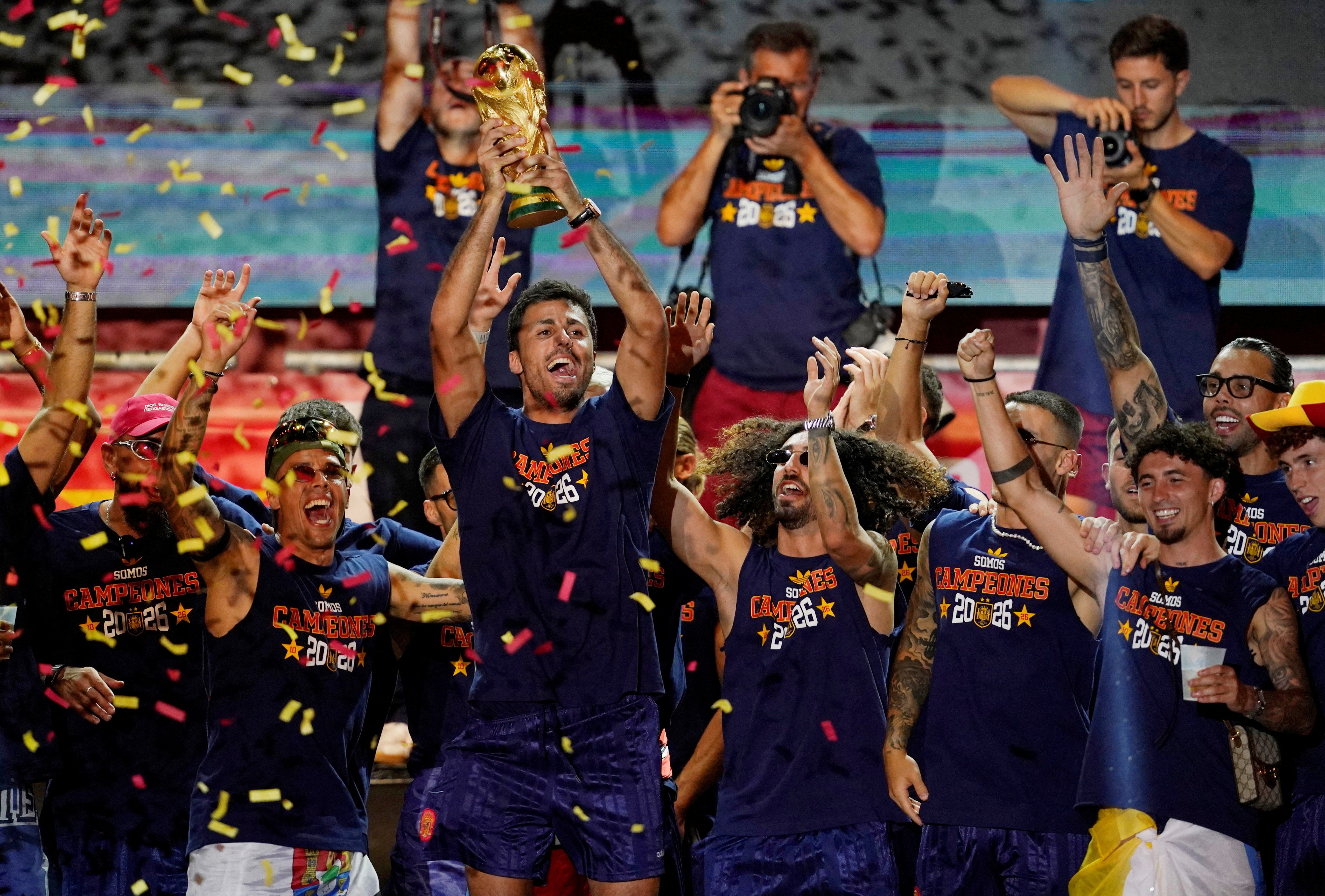 world cup,  t&acirc;y ban nha,  luis de la fuente ảnh 9
