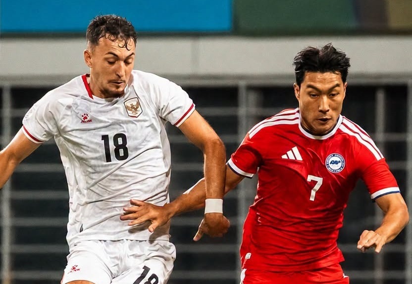 asean cup,  indonesia,  singapore ảnh 1