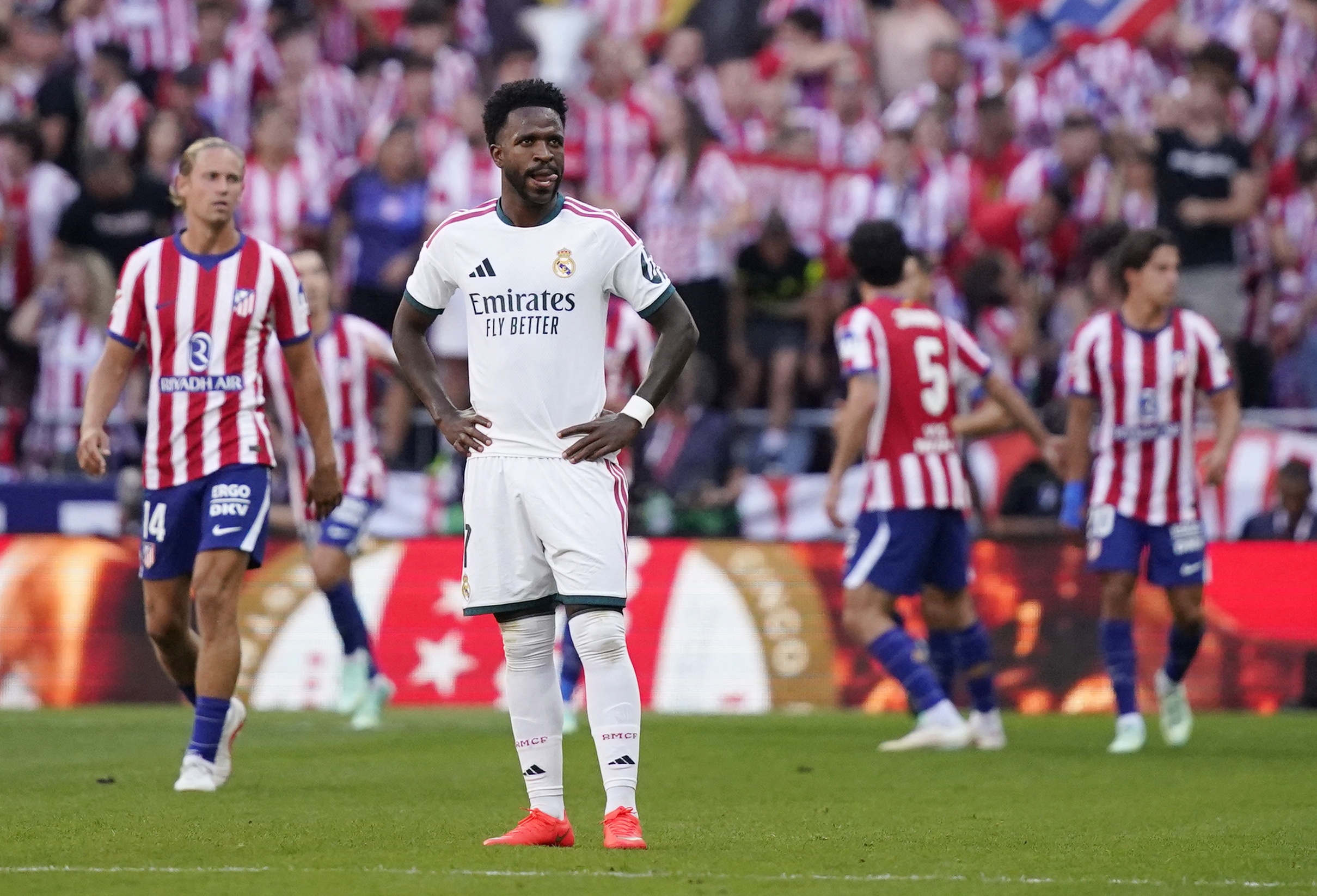 Real Madrid ảnh 7