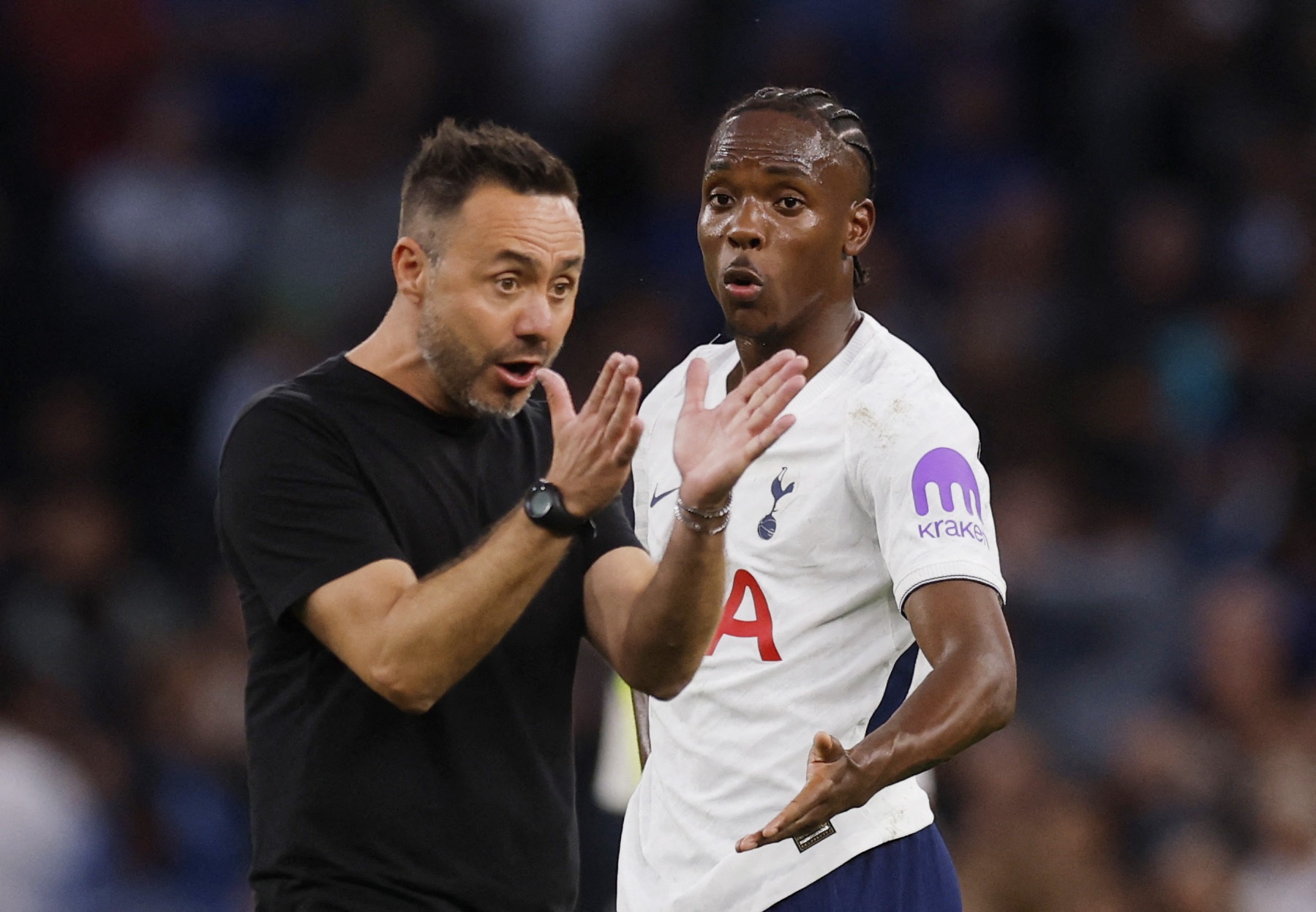 Tottenham ảnh 2