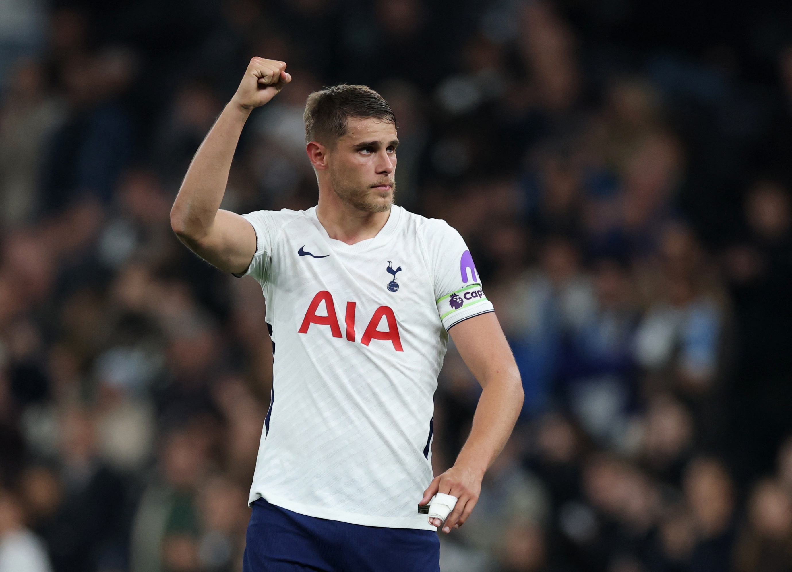 Tottenham ảnh 1