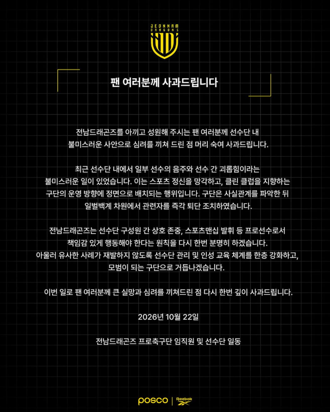 hàn quốc,  k-league 2,  jeonnam dragons ảnh 1
