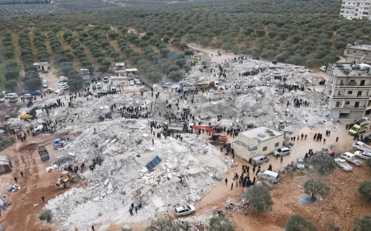 Dong dat,  mat mat,  vien tro,  cuu tro,  lang quen anh 1