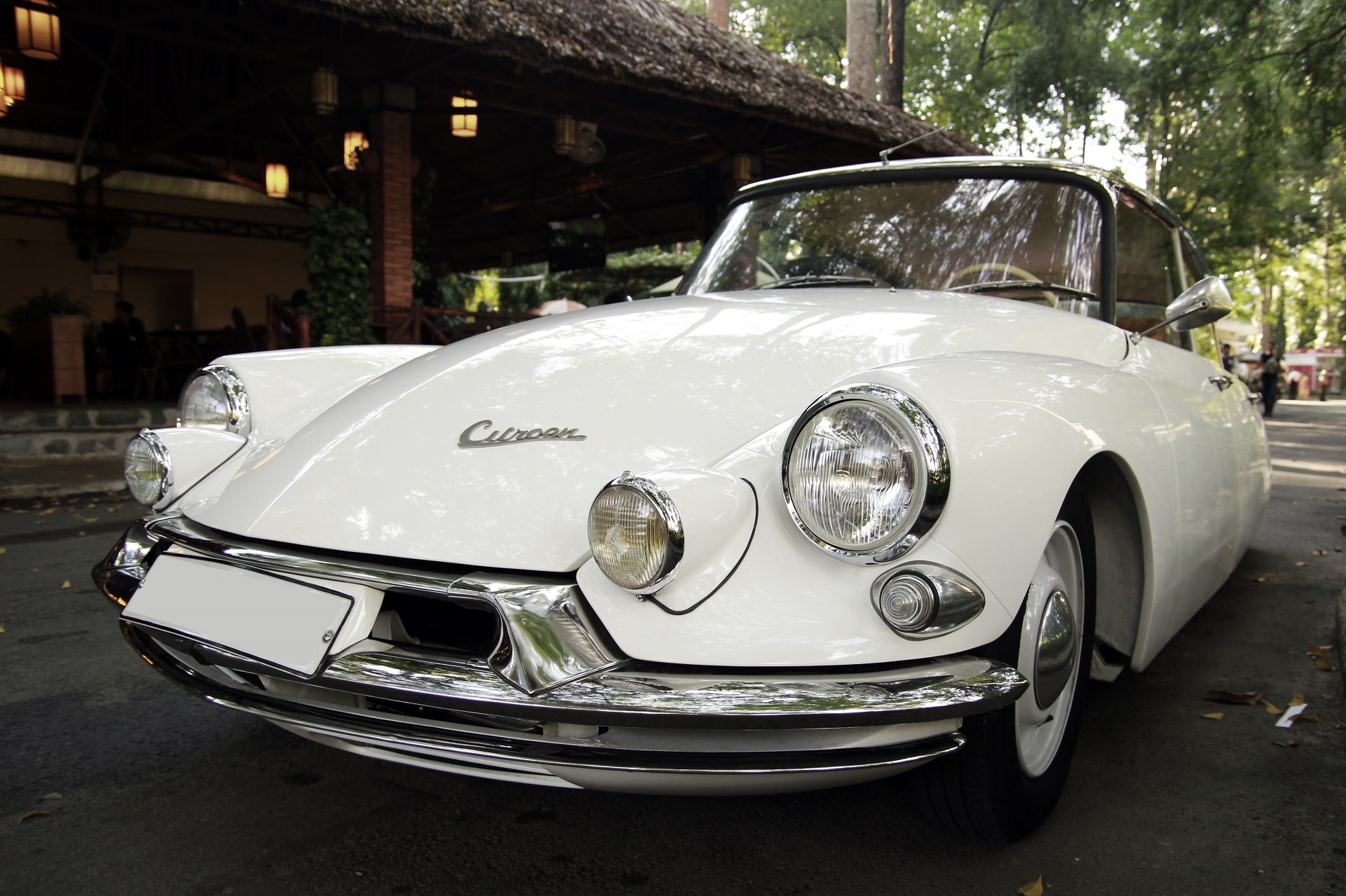 Xe co Citroen DS hang doc tai Sai Gon hinh anh