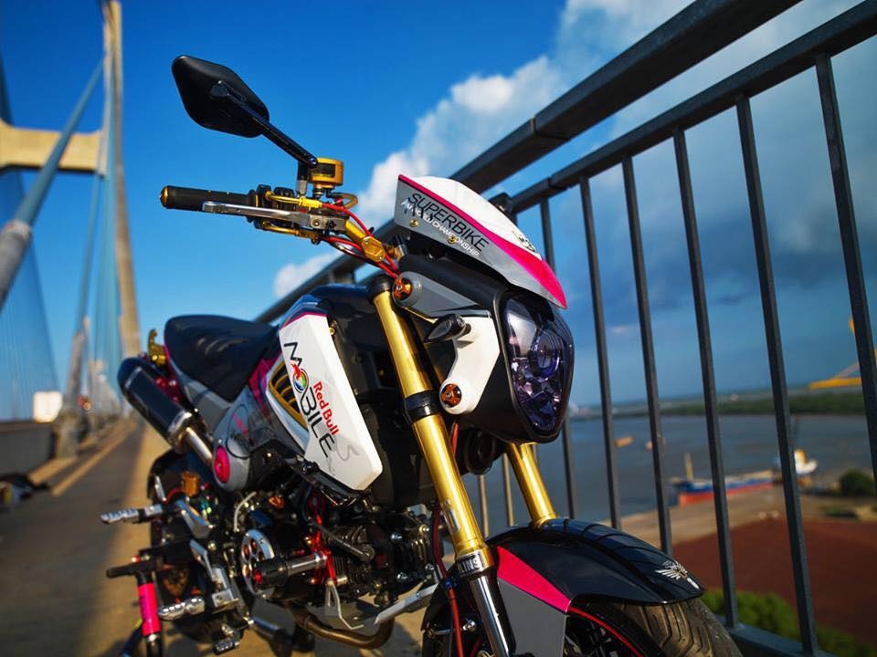 Chi gan 300 trieu do Honda MSX doc nhat Viet Nam hinh anh