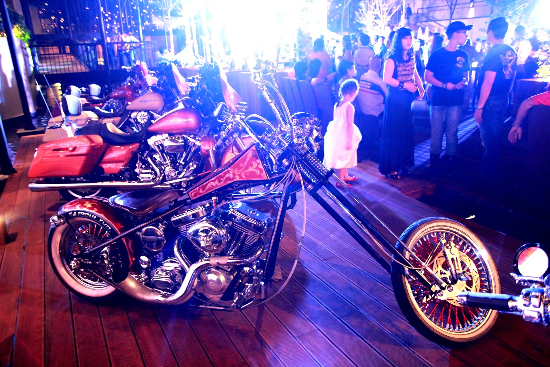 'Ma toc do' duy nhat tren the gioi tai Viet Nam hinh anh