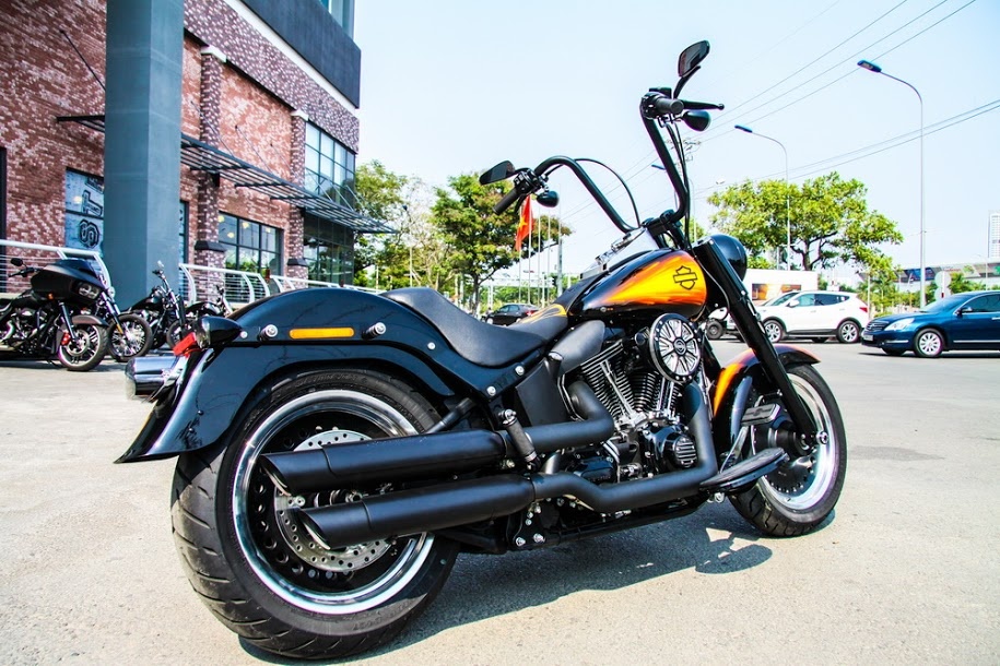300 chiec Harley-Davidson den tay khach Viet trong mot nam hinh anh