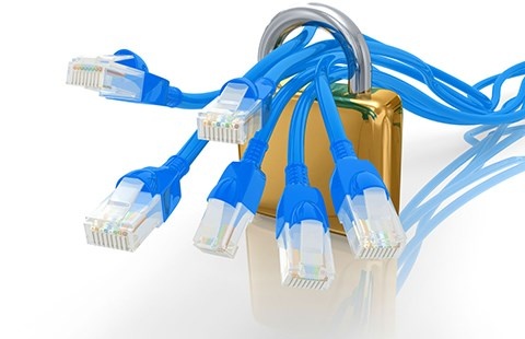 Noi buon IP Viet hinh anh