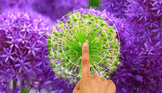 Tim hieu cac co che lay net tu dong tren smartphone hien nay hinh anh