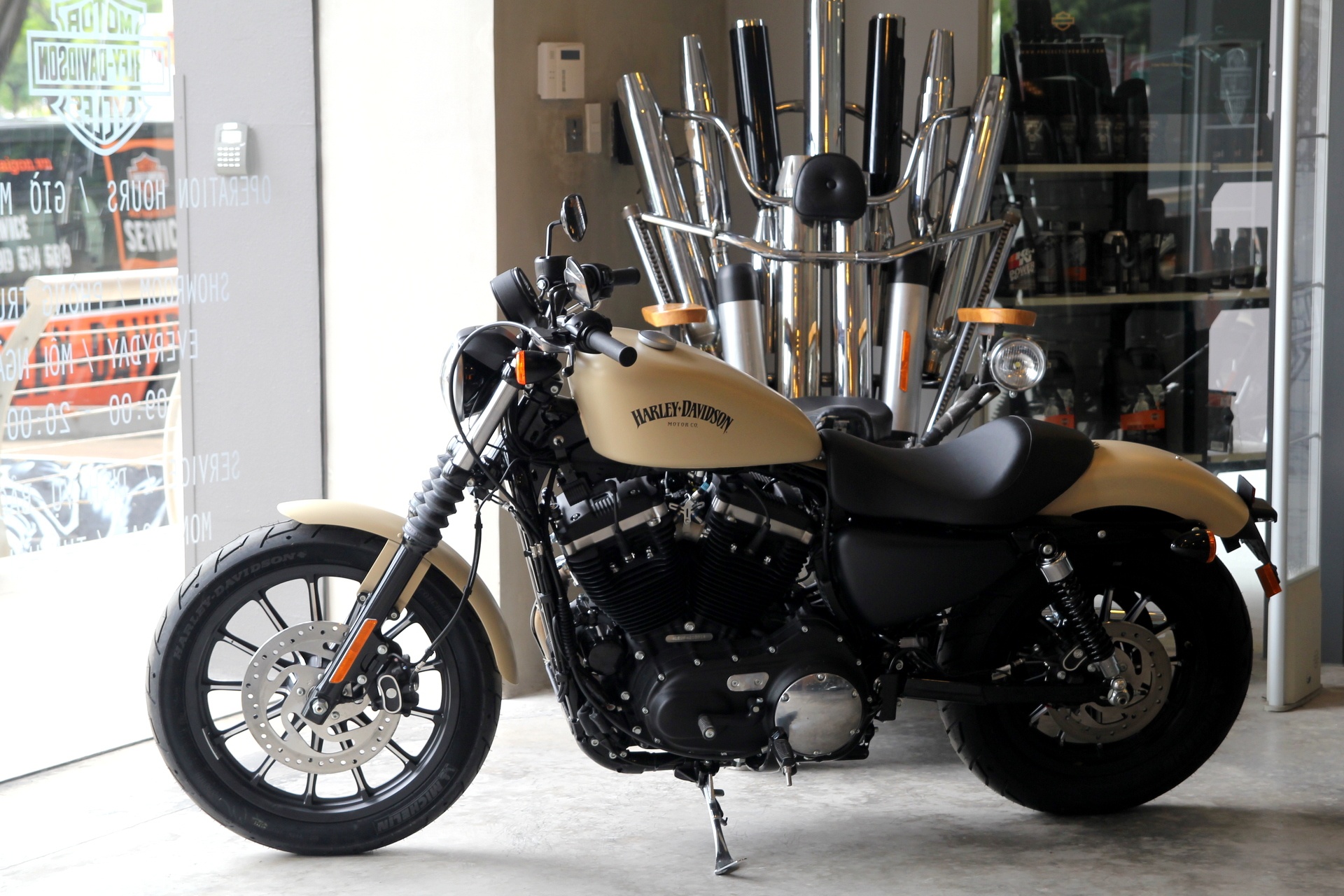 Harley Iron 883 gia mem cho gioi tre tai Viet Nam hinh anh