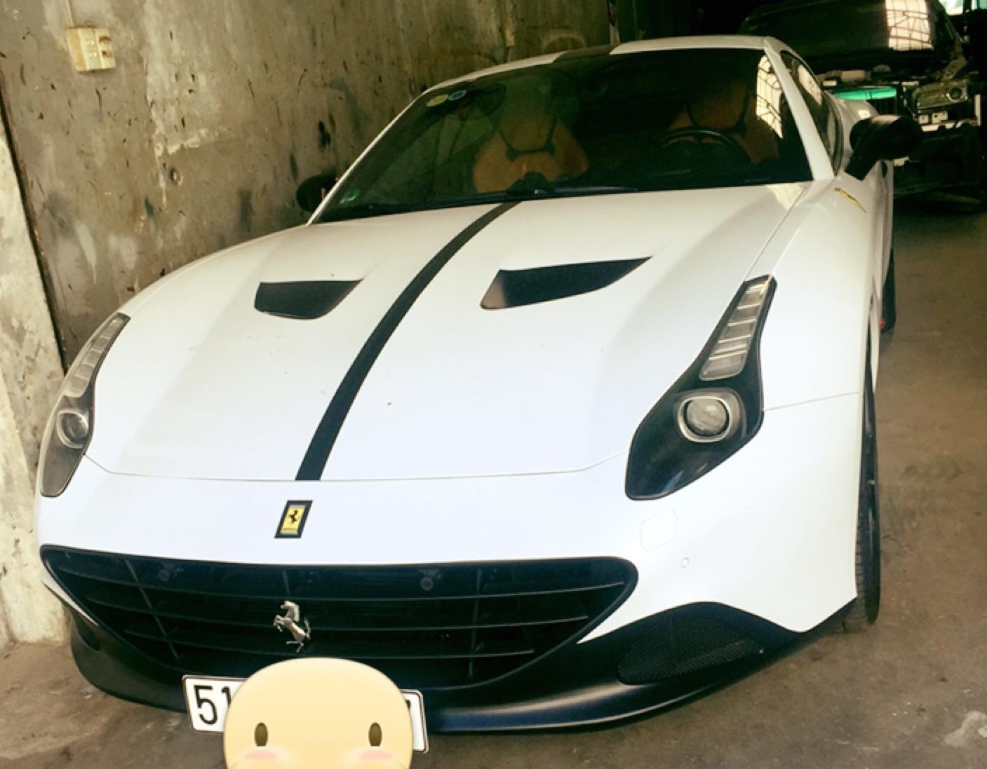 Dan Ferrari mau trang cua dai gia Viet anh 9