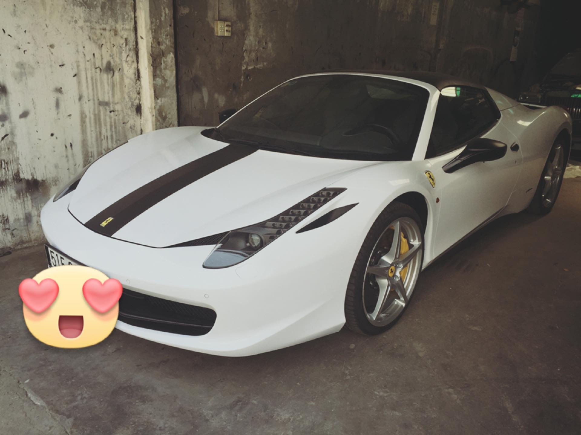 Dan Ferrari mau trang cua dai gia Viet anh 6