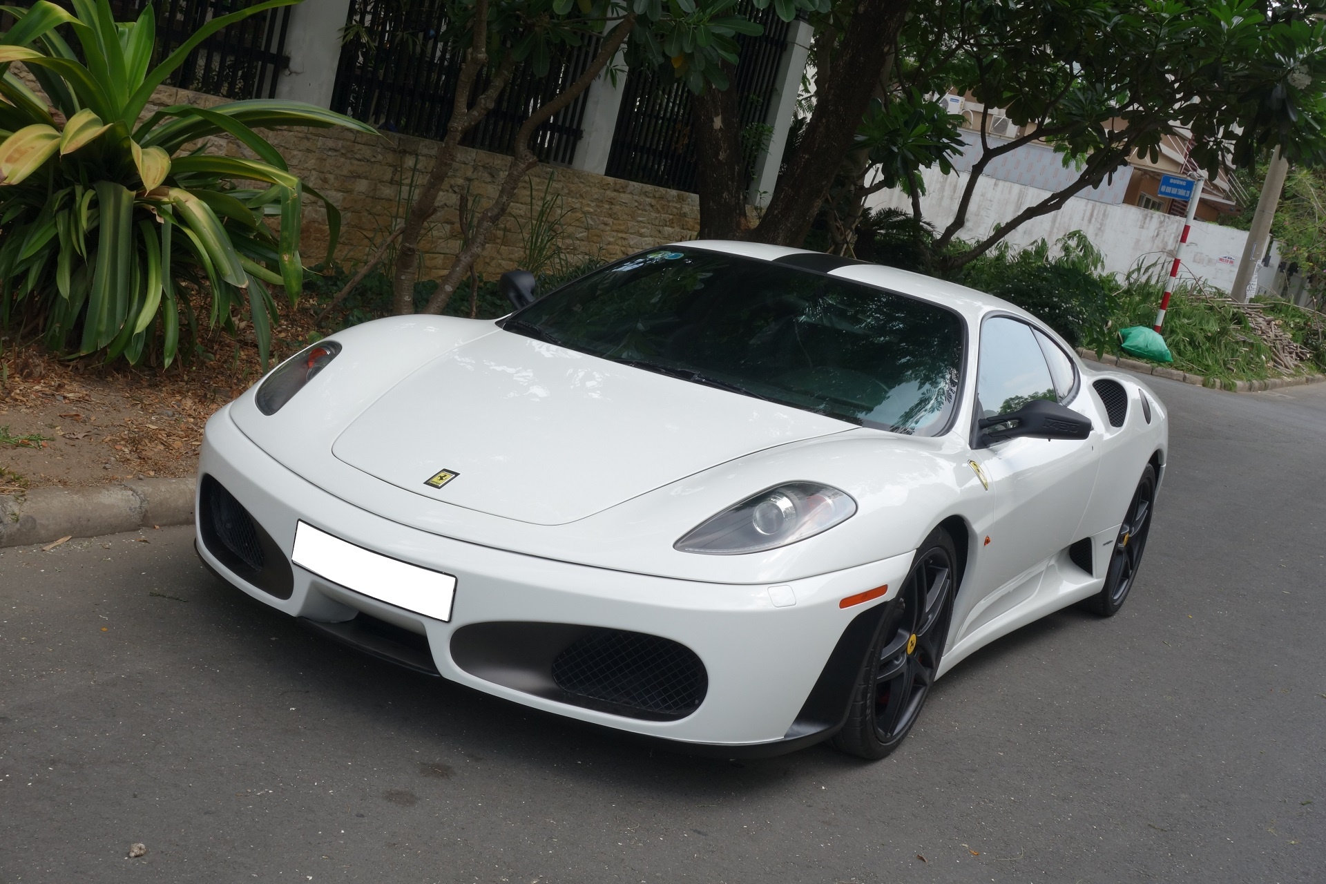 Dan Ferrari mau trang cua dai gia Viet anh 3