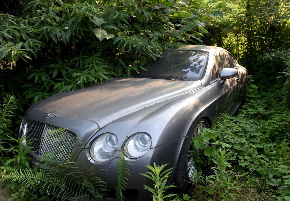 Dan xe sang bi vut bo trong rung o Trung Quoc hinh anh