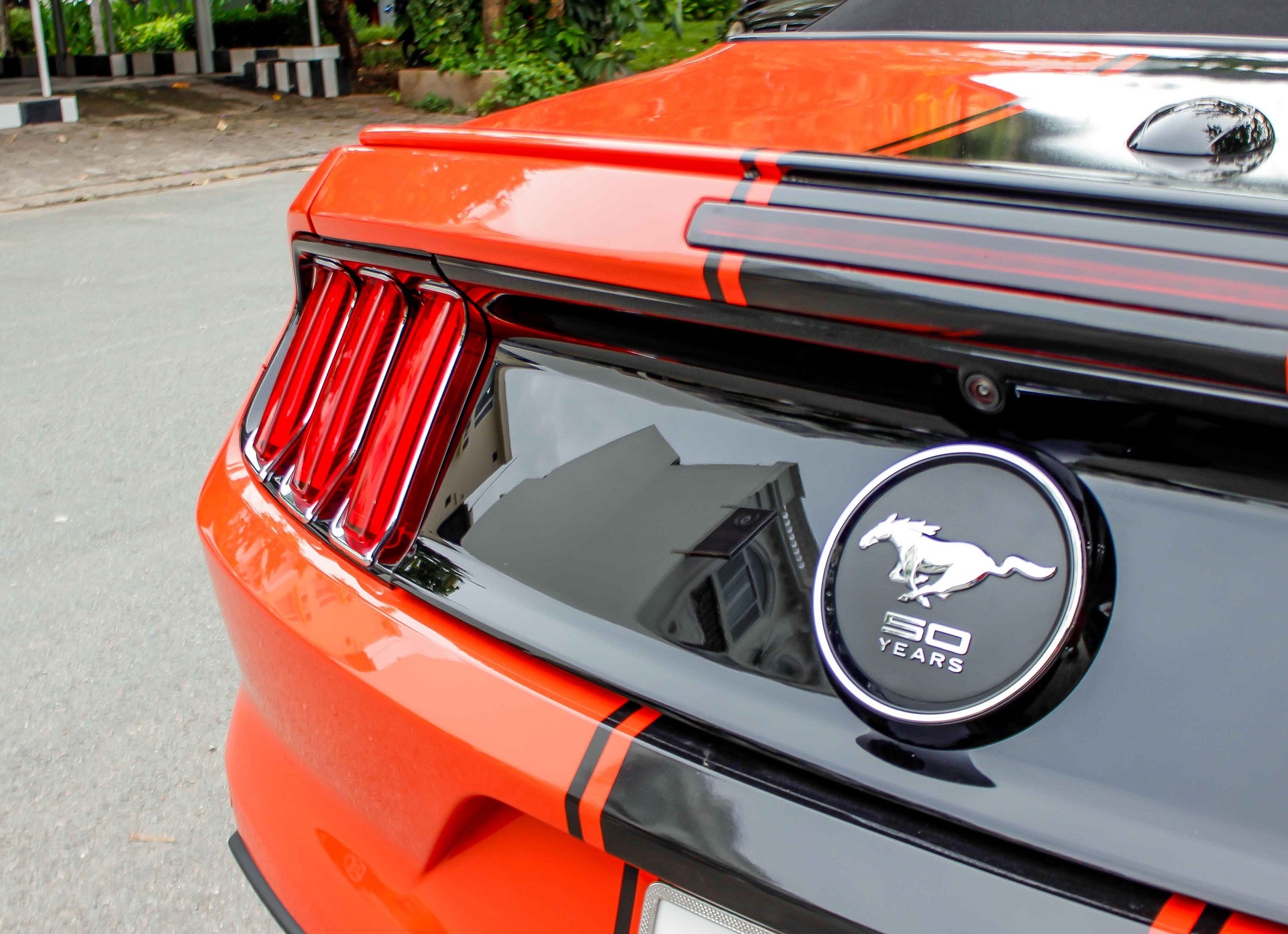 Mustang mui tran o Sai Gon anh 6