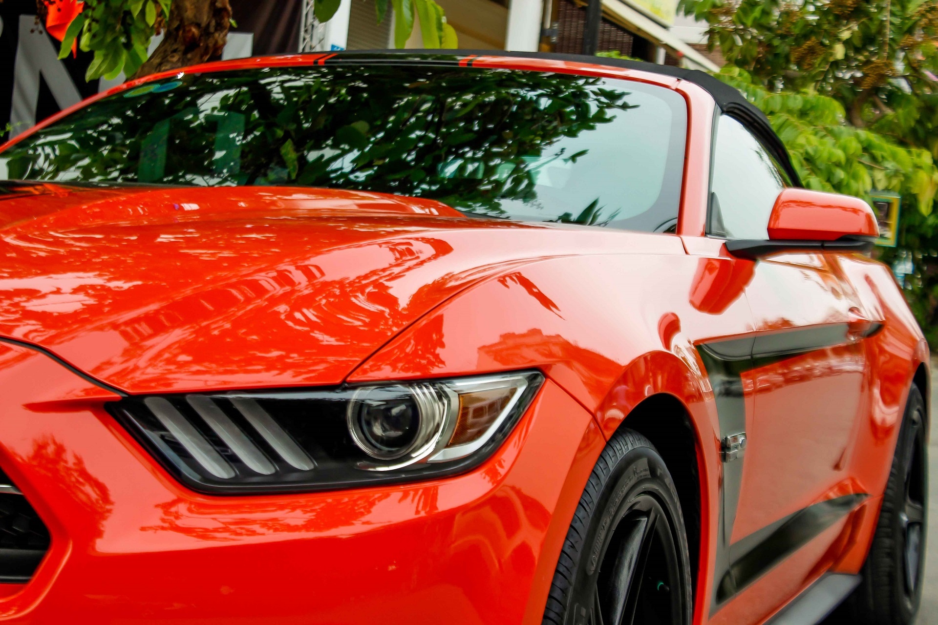 Mustang mui tran o Sai Gon anh 8