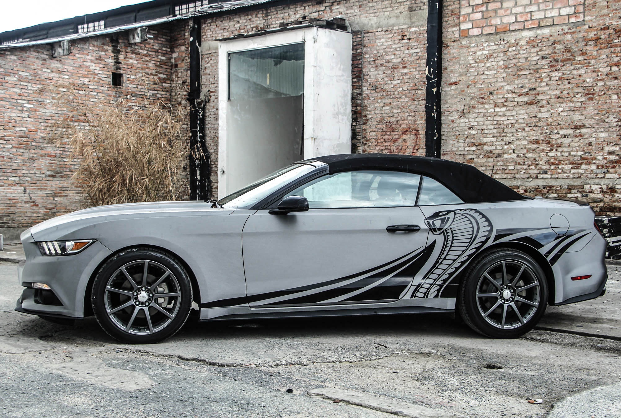 Ford Mustang 2016 do anh 10