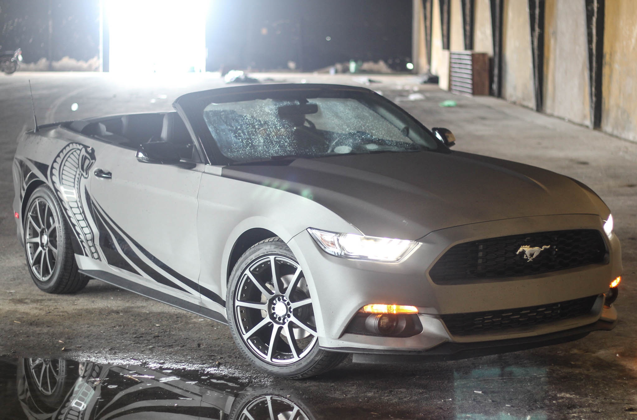 Ford Mustang 2016 do anh 2