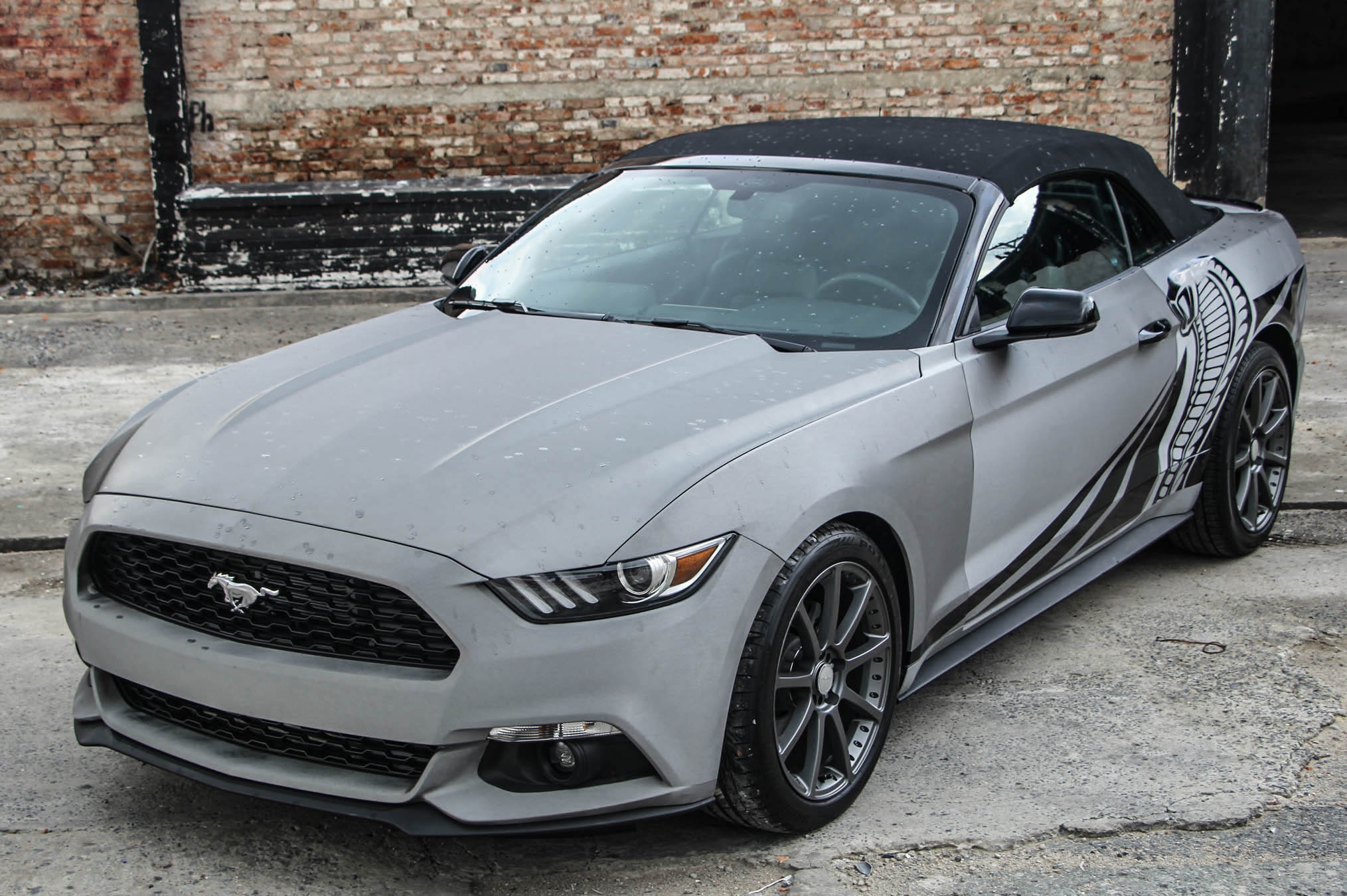 Ford Mustang 2016 do anh 4