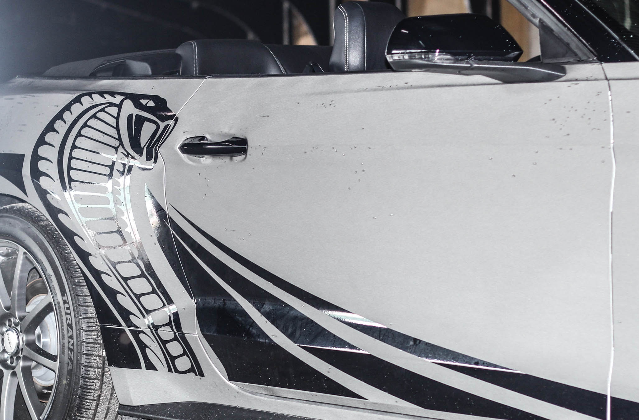 Ford Mustang 2016 do anh 6