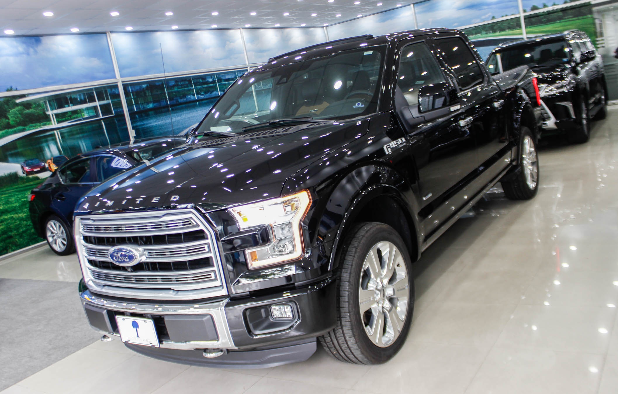 Xe ban tai khong lo Ford F-150 ban dac biet ve Viet Nam hinh anh