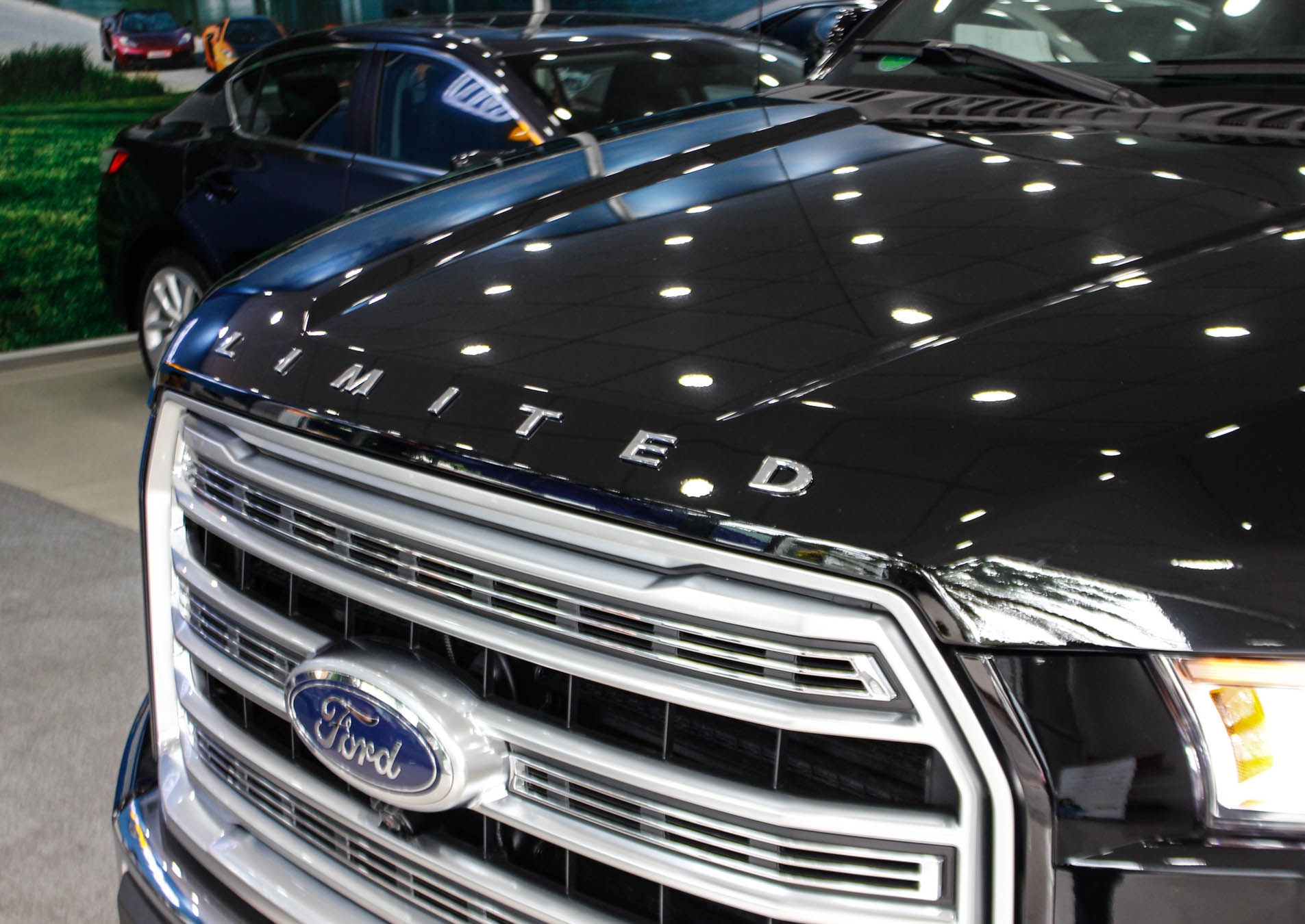 xe ban tai Ford F-150 Viet Nam anh 4