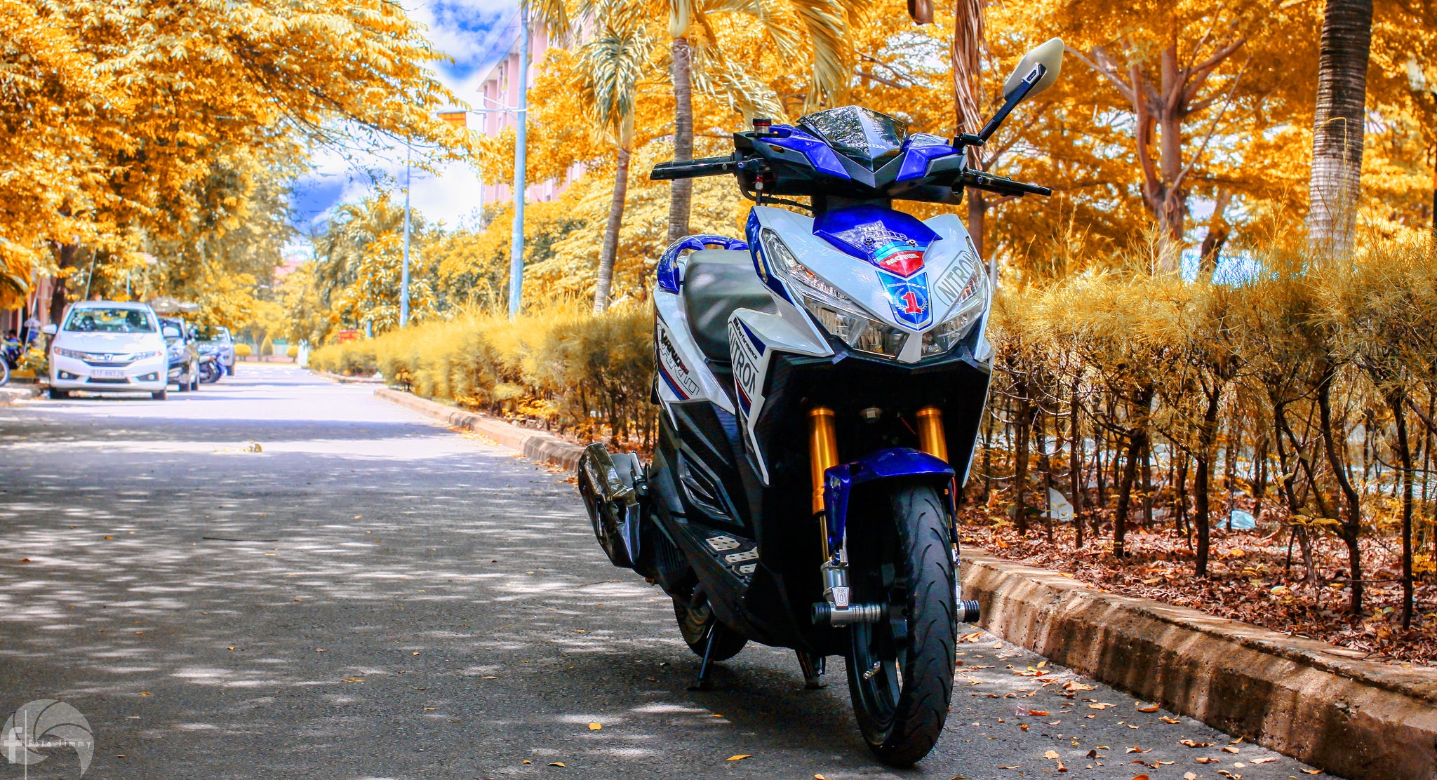 Honda Vario do hang hieu anh 2