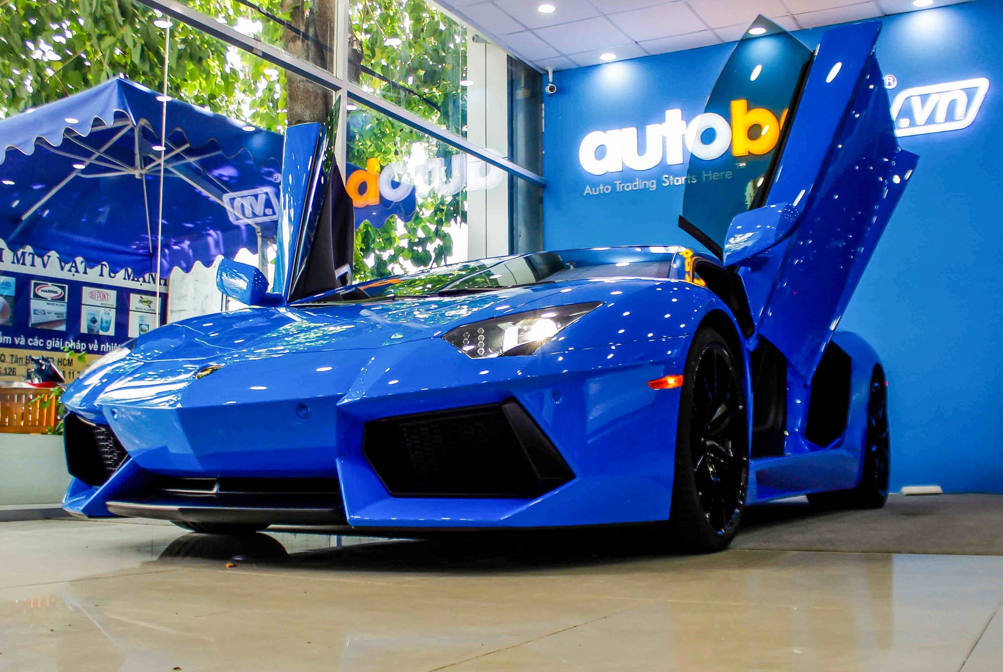 Lamborghini Aventador mau hiem anh 3