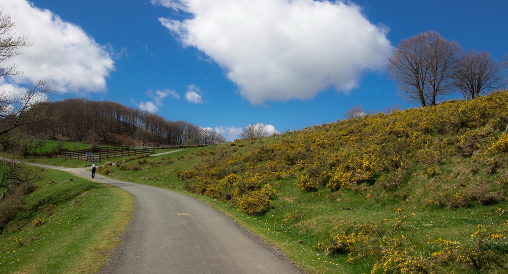 10 tuyen duong dep nhat the gioi anh 7