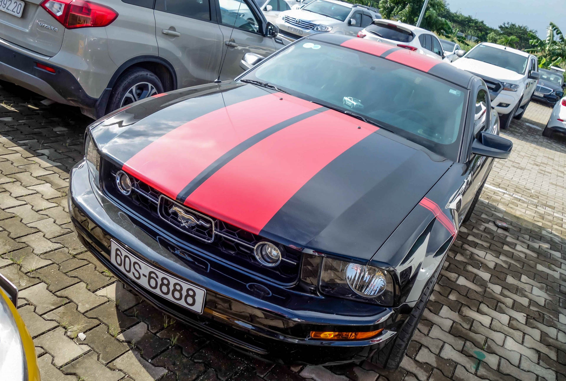 Trien lam VIMS 2016 anh 4