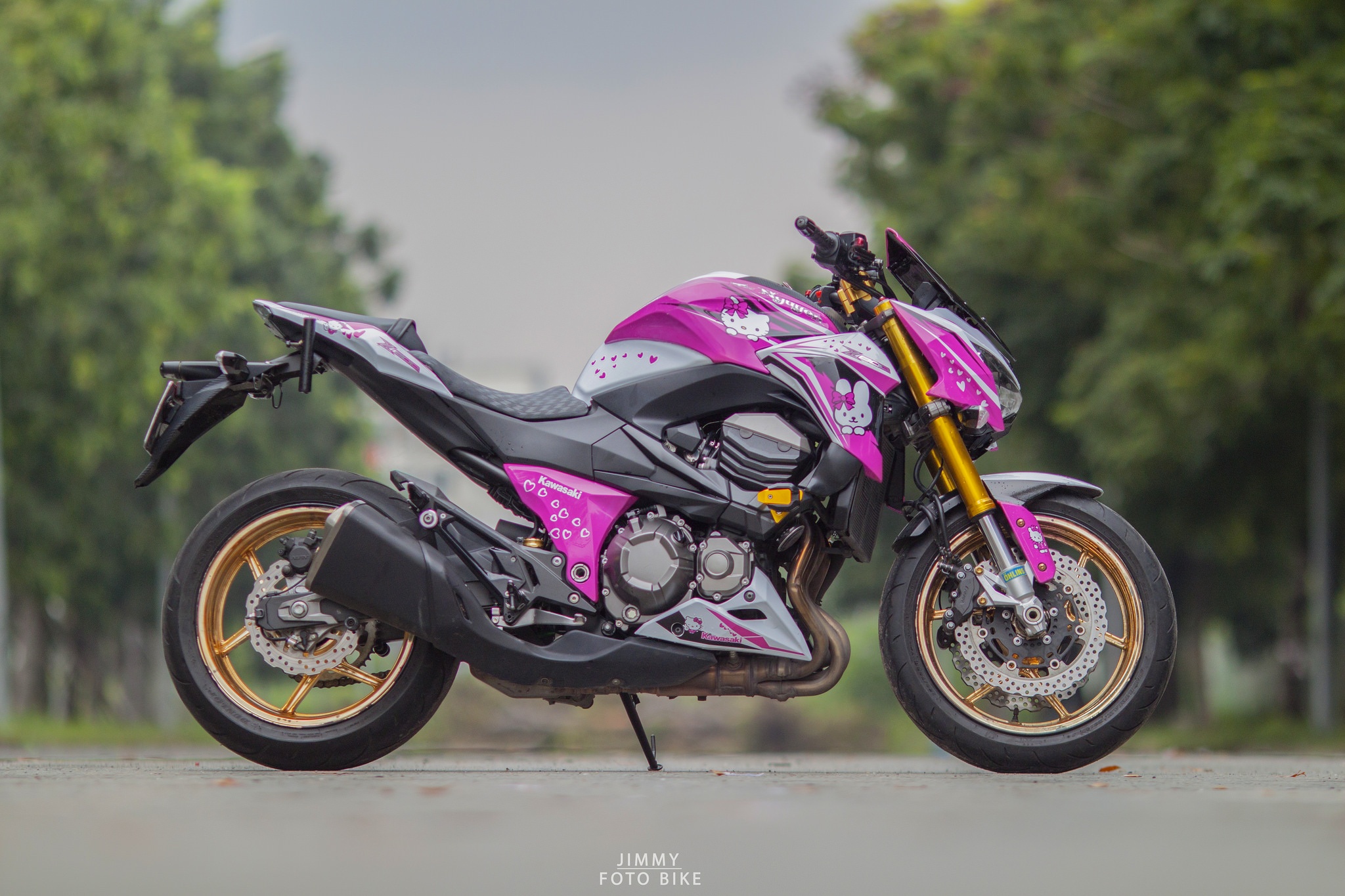Kawasaki Z800 Hello Kitty anh 5