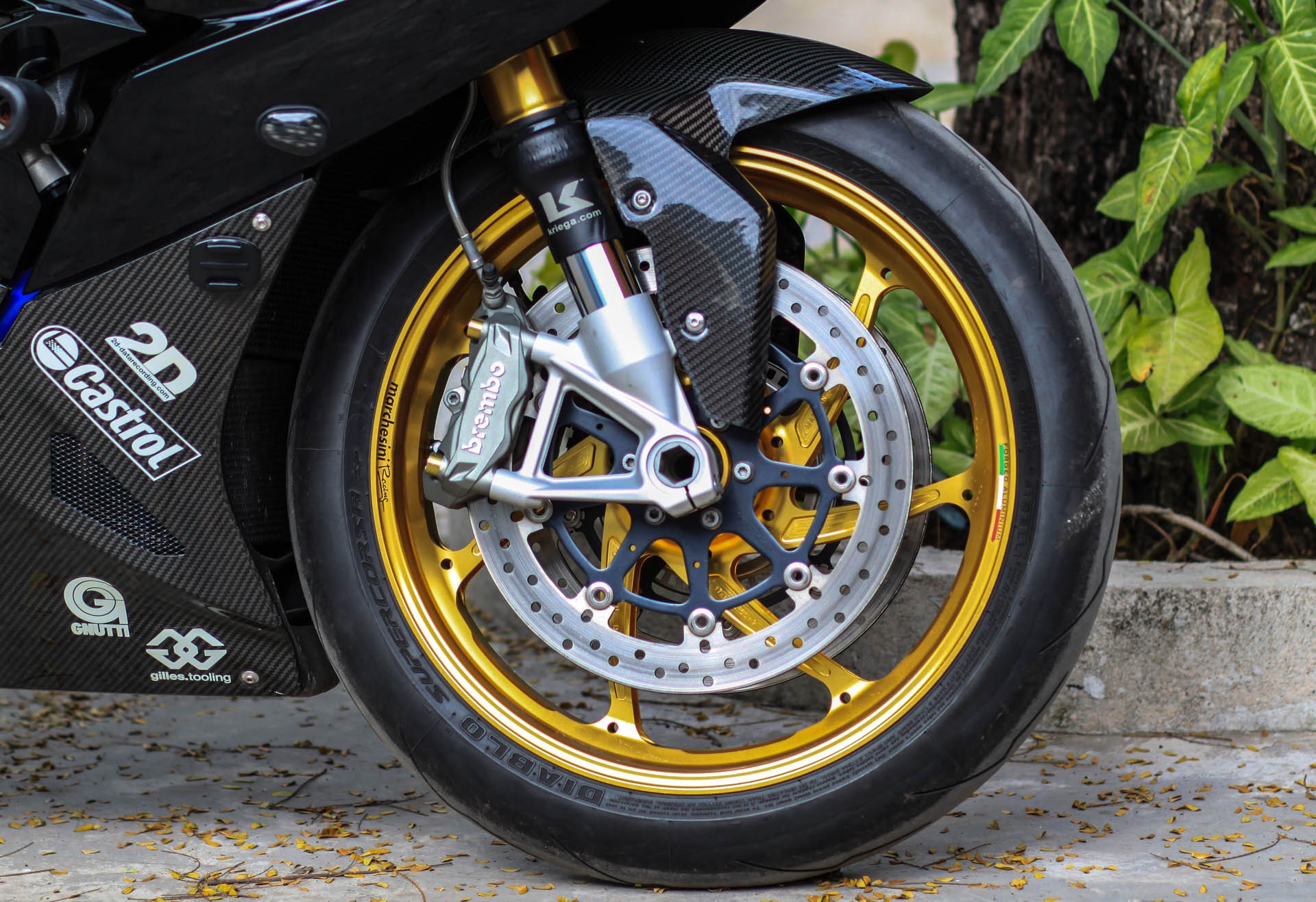 BMW S1000RR do dan ao carbon anh 3