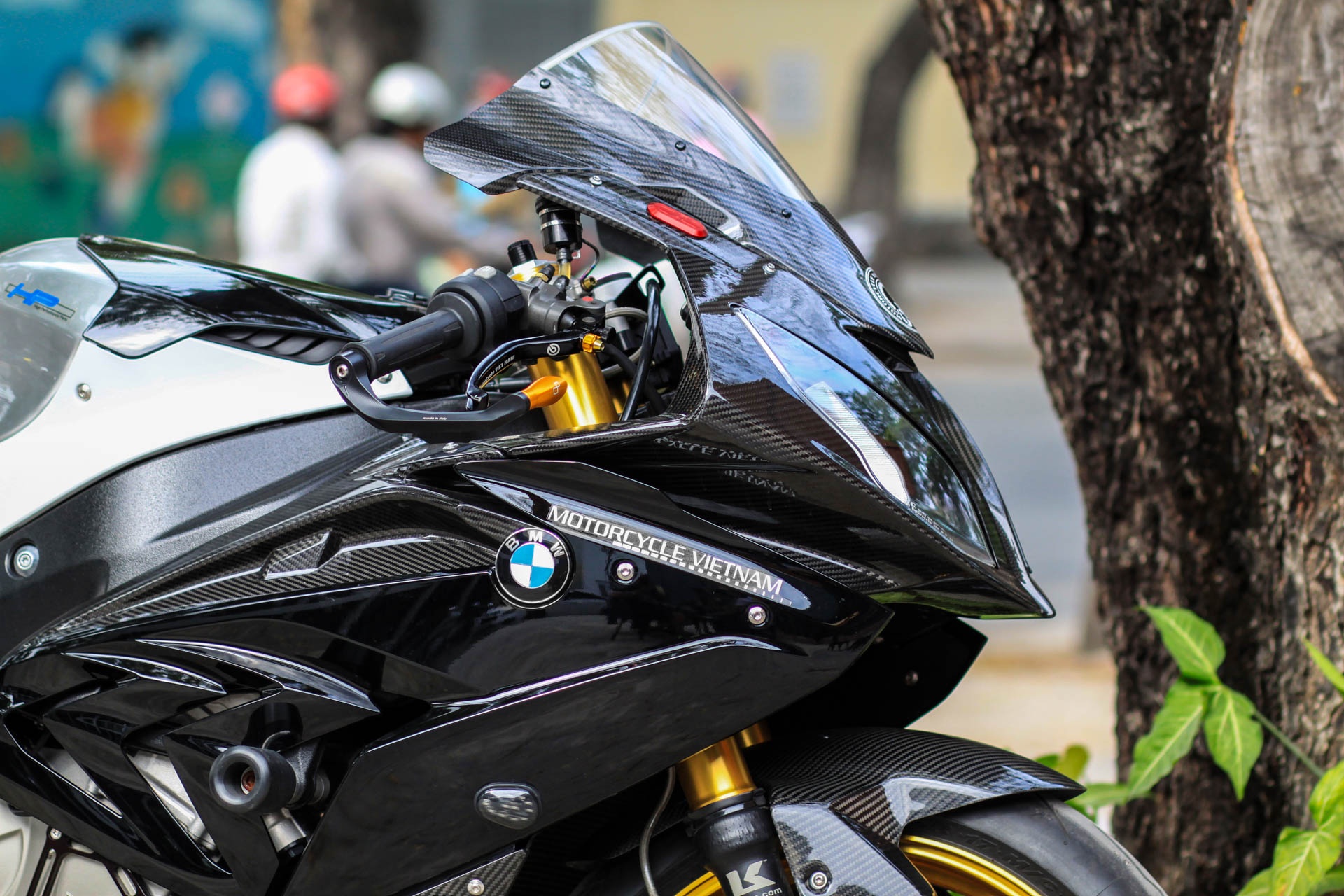 BMW S1000RR do dan ao carbon anh 5