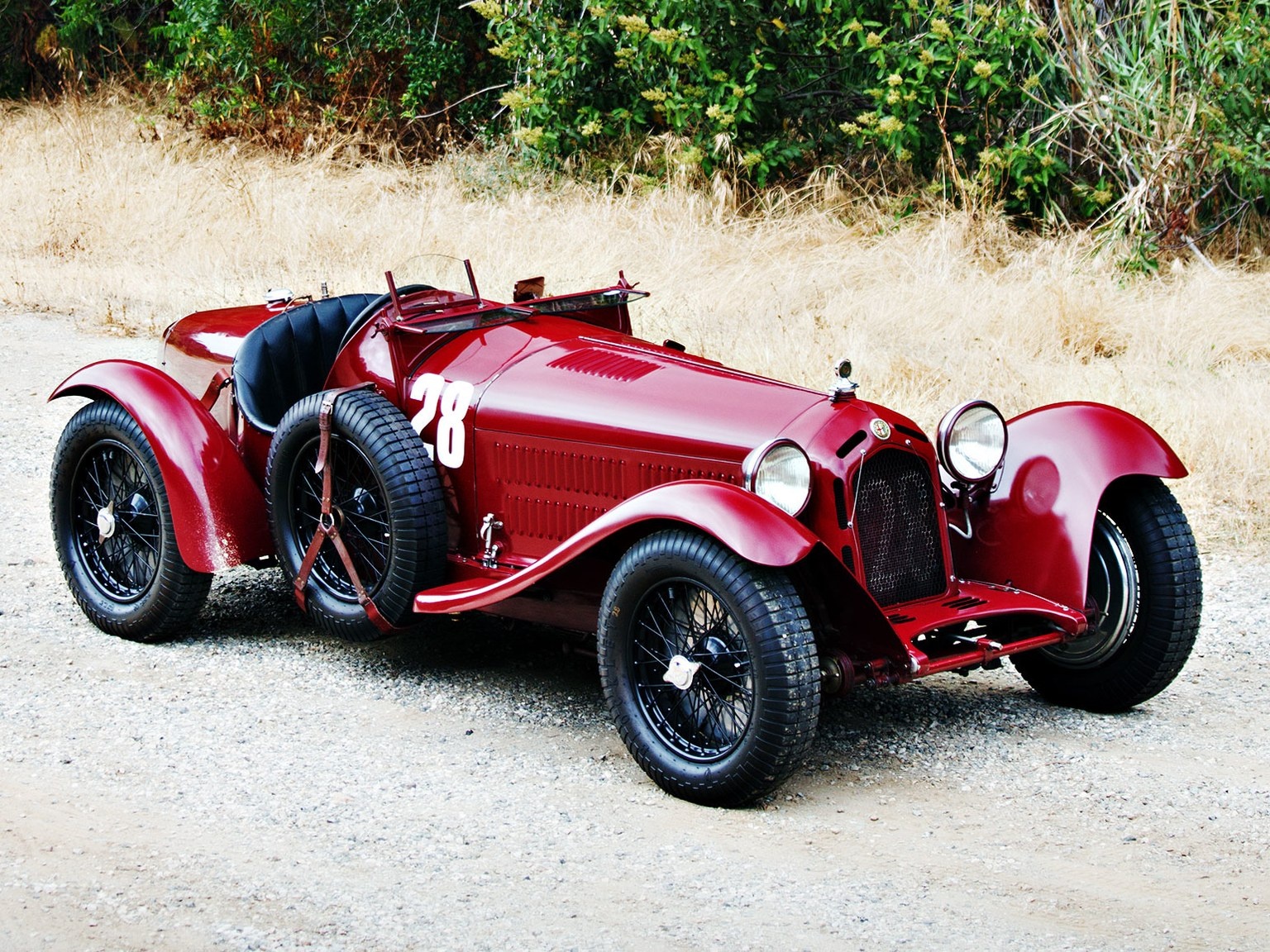 xe dat nhat the gioi anh 8