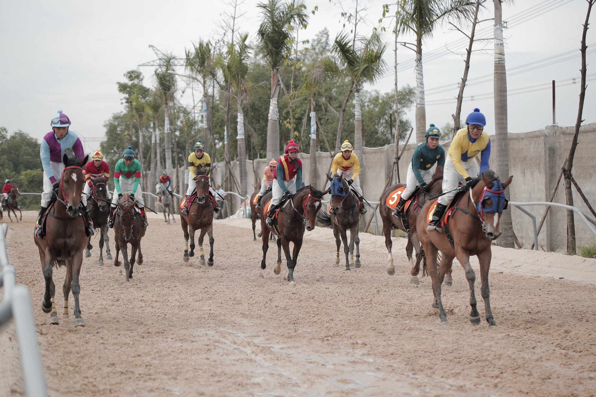 Truong dua Dai Nam cua ong Dung Lo Voi anh 10