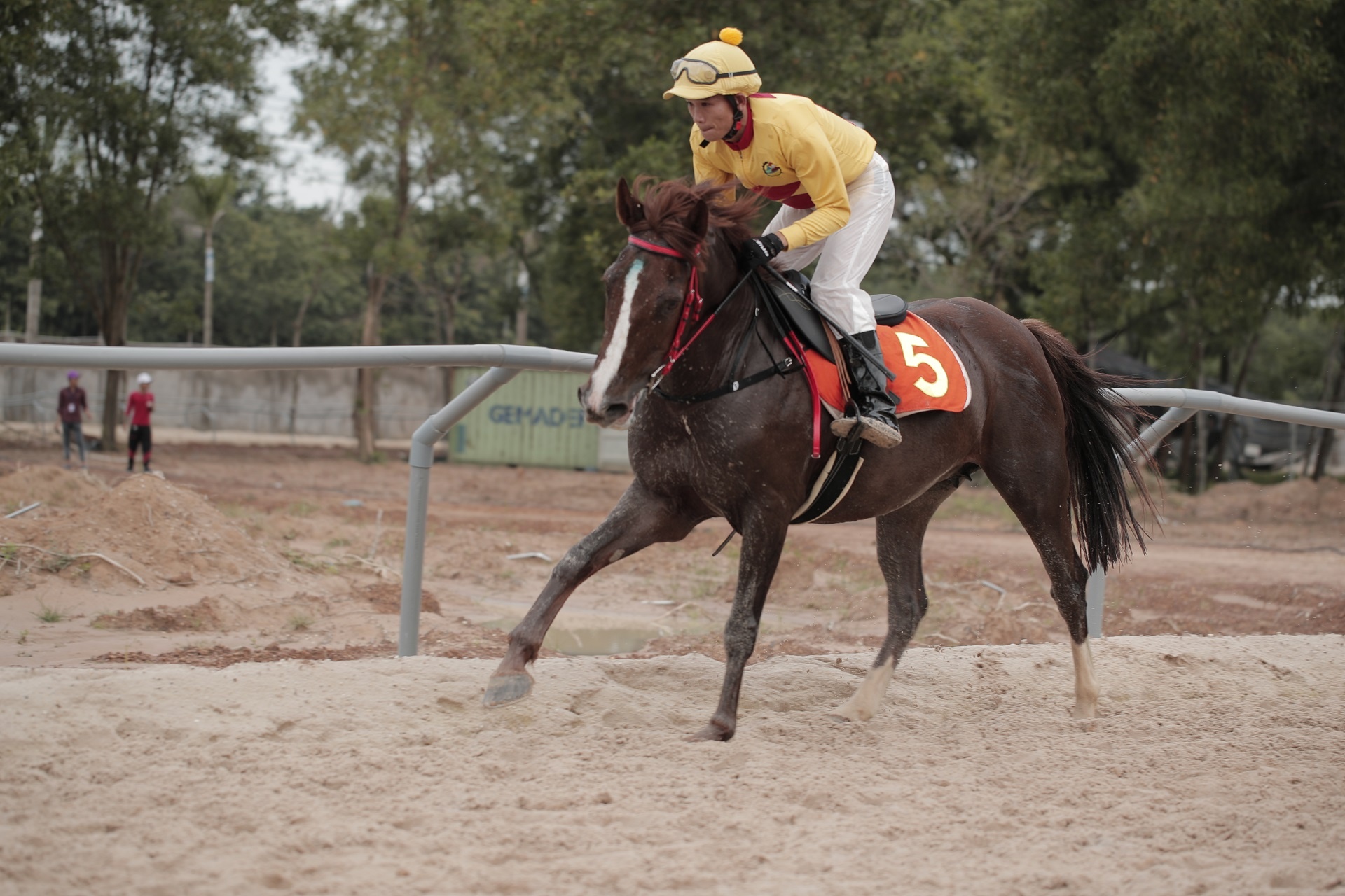 Truong dua Dai Nam cua ong Dung Lo Voi anh 11