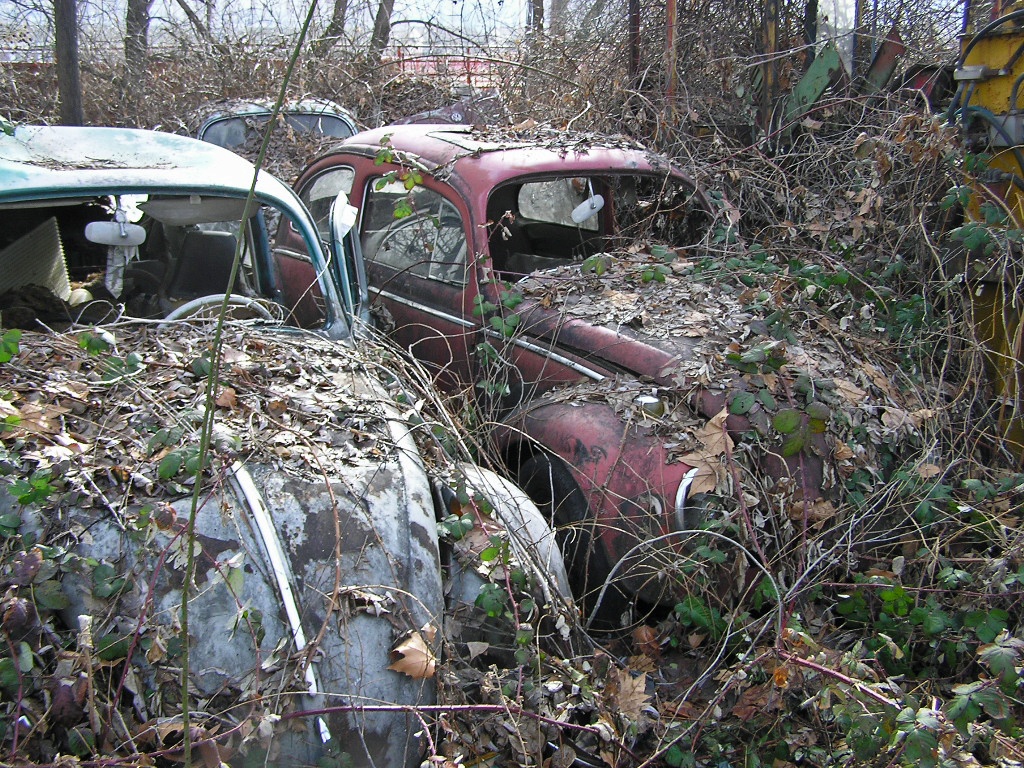 ‘Mo chon tap the’ nhung mau xe kinh dien o My hinh anh